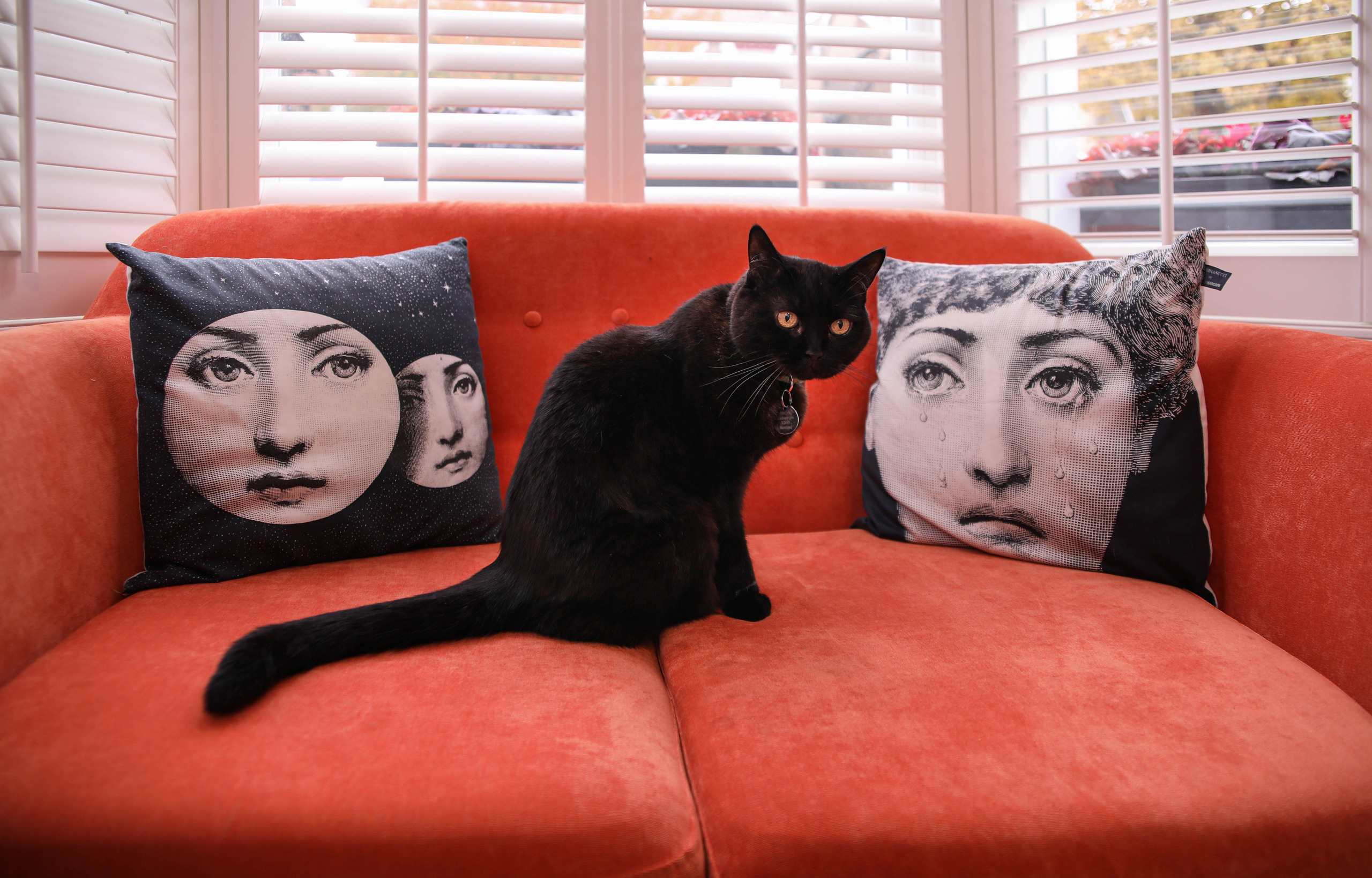 Ashbourne Grove, London. Main