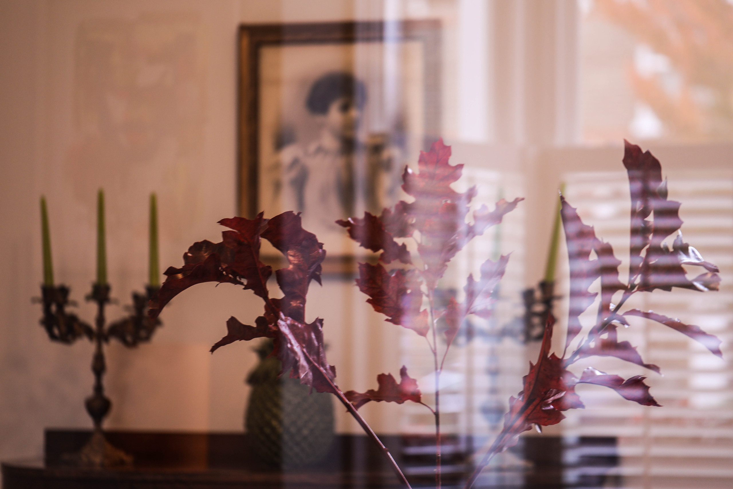 Ashbourne Grove, London. Main