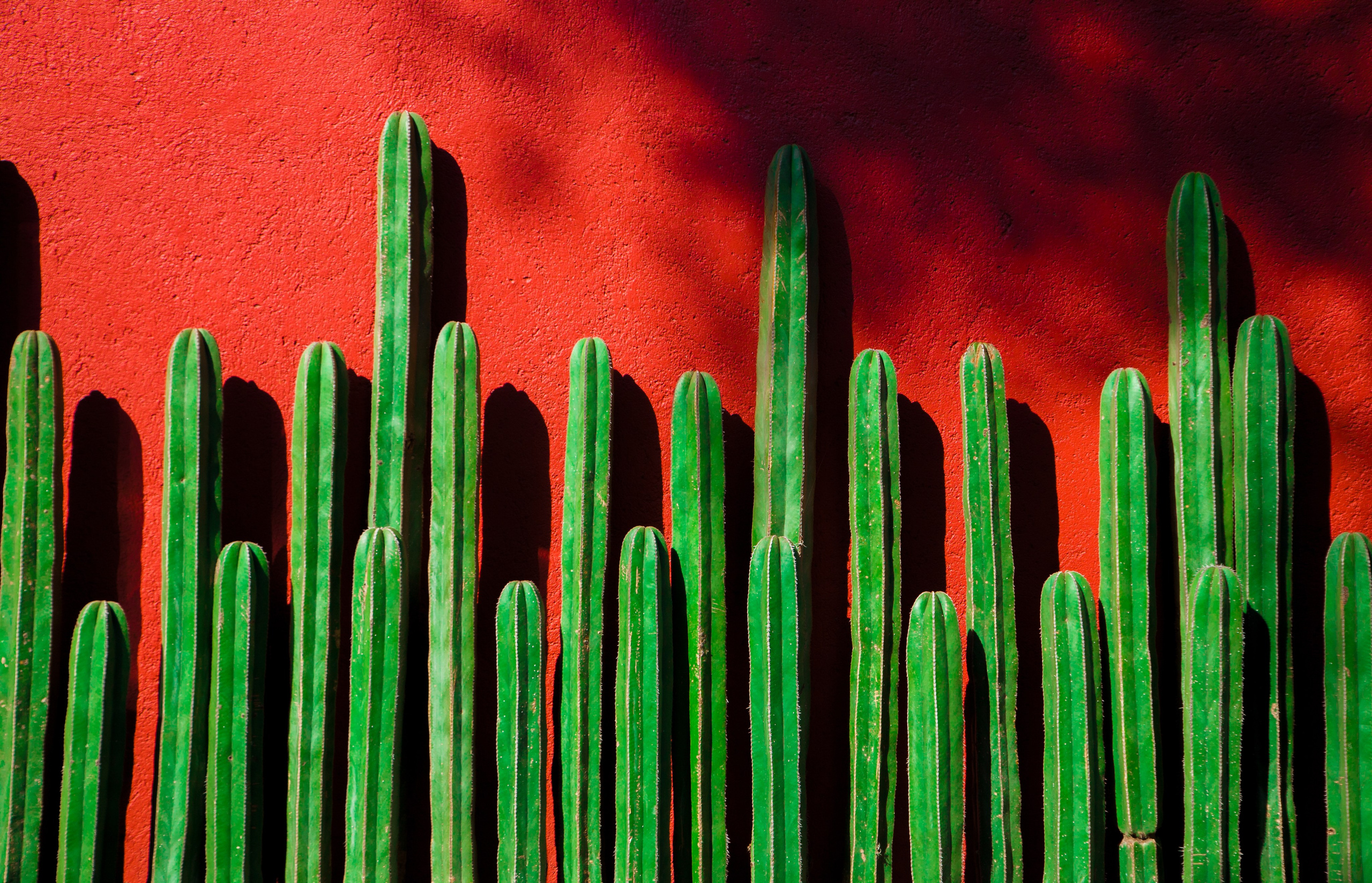 EXHIBITION. Lero Photographer and a set designer|individual custom portrait and advertising photography in Zutphen