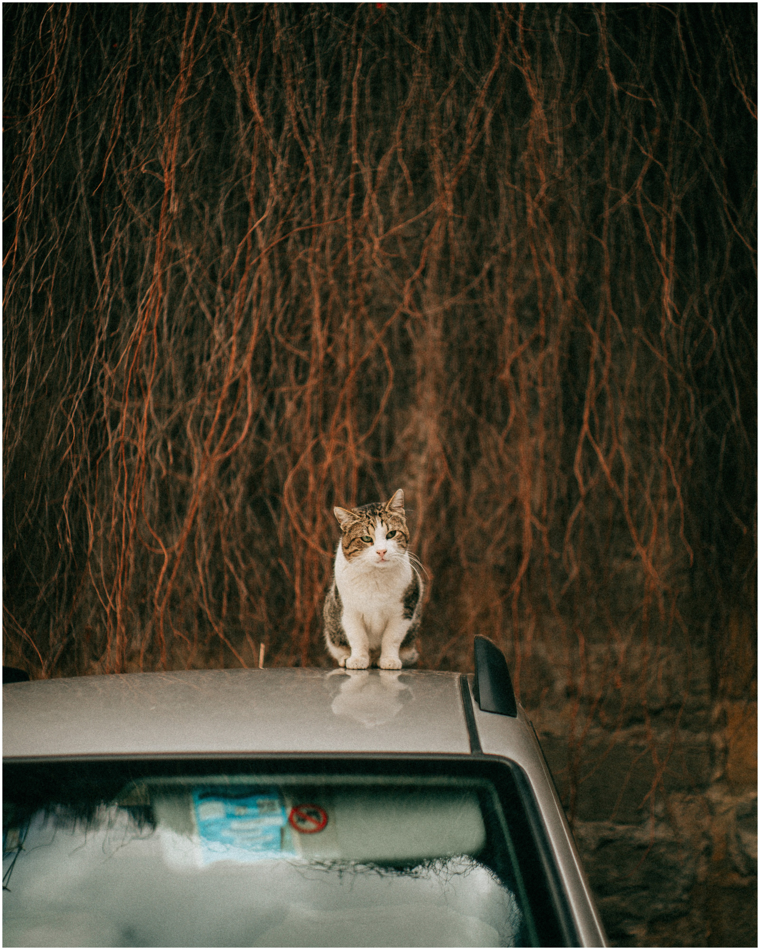 PALERMO. Photographer Inna Mendelson