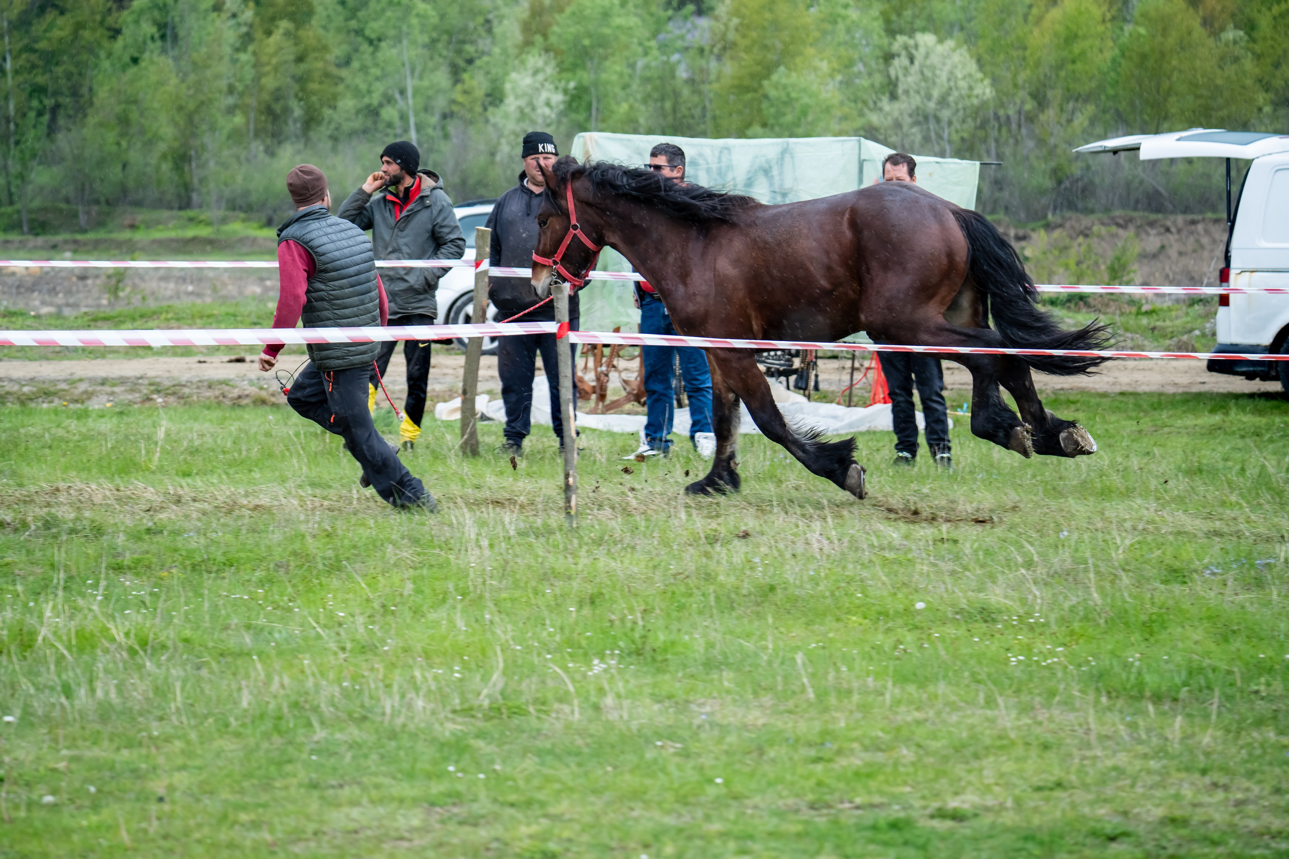 Concurs Ecvestru Vărbilău ediția a 4-a. Mihai Alexandra Events