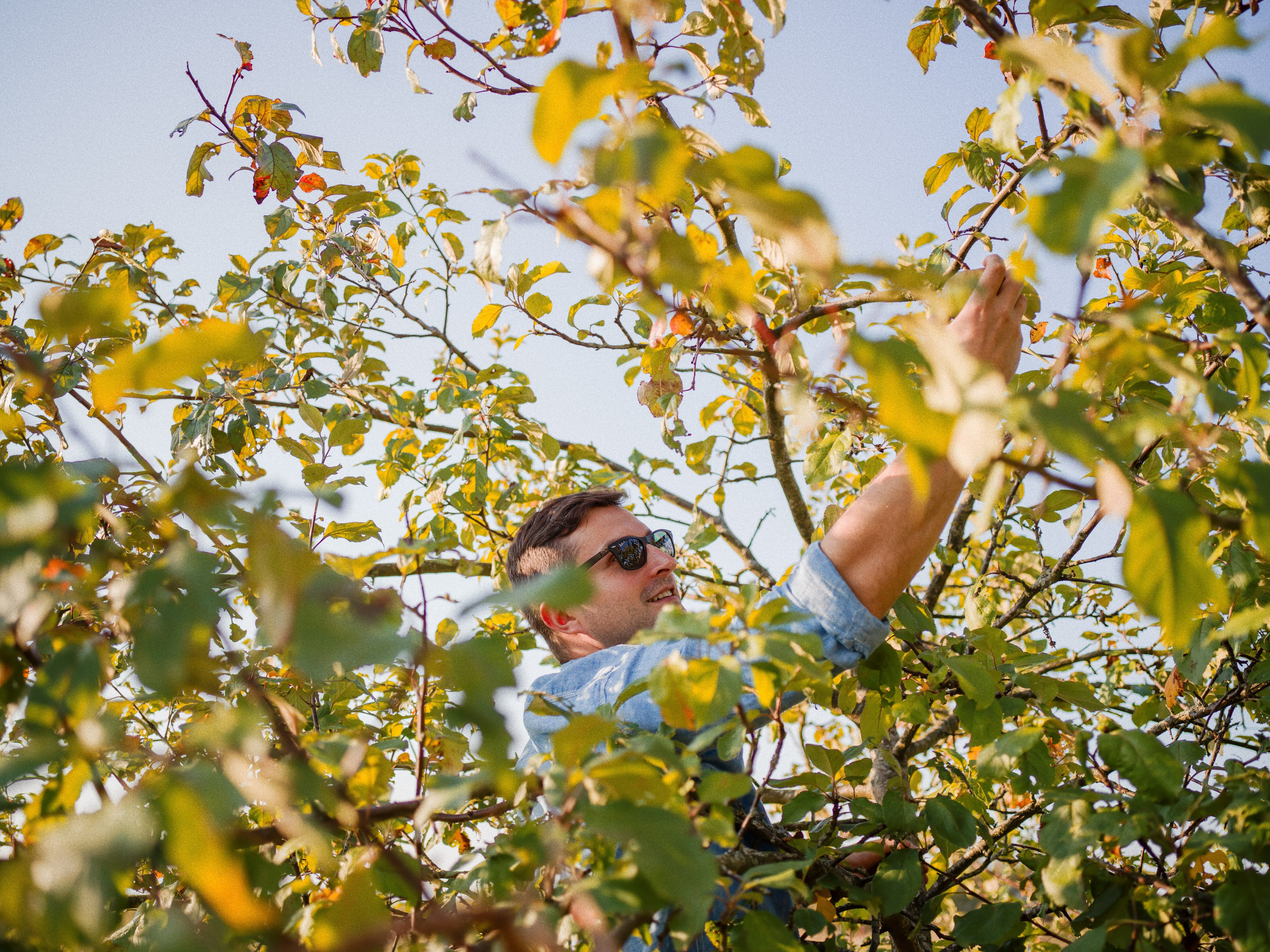 Artjom Kutuzov Photography