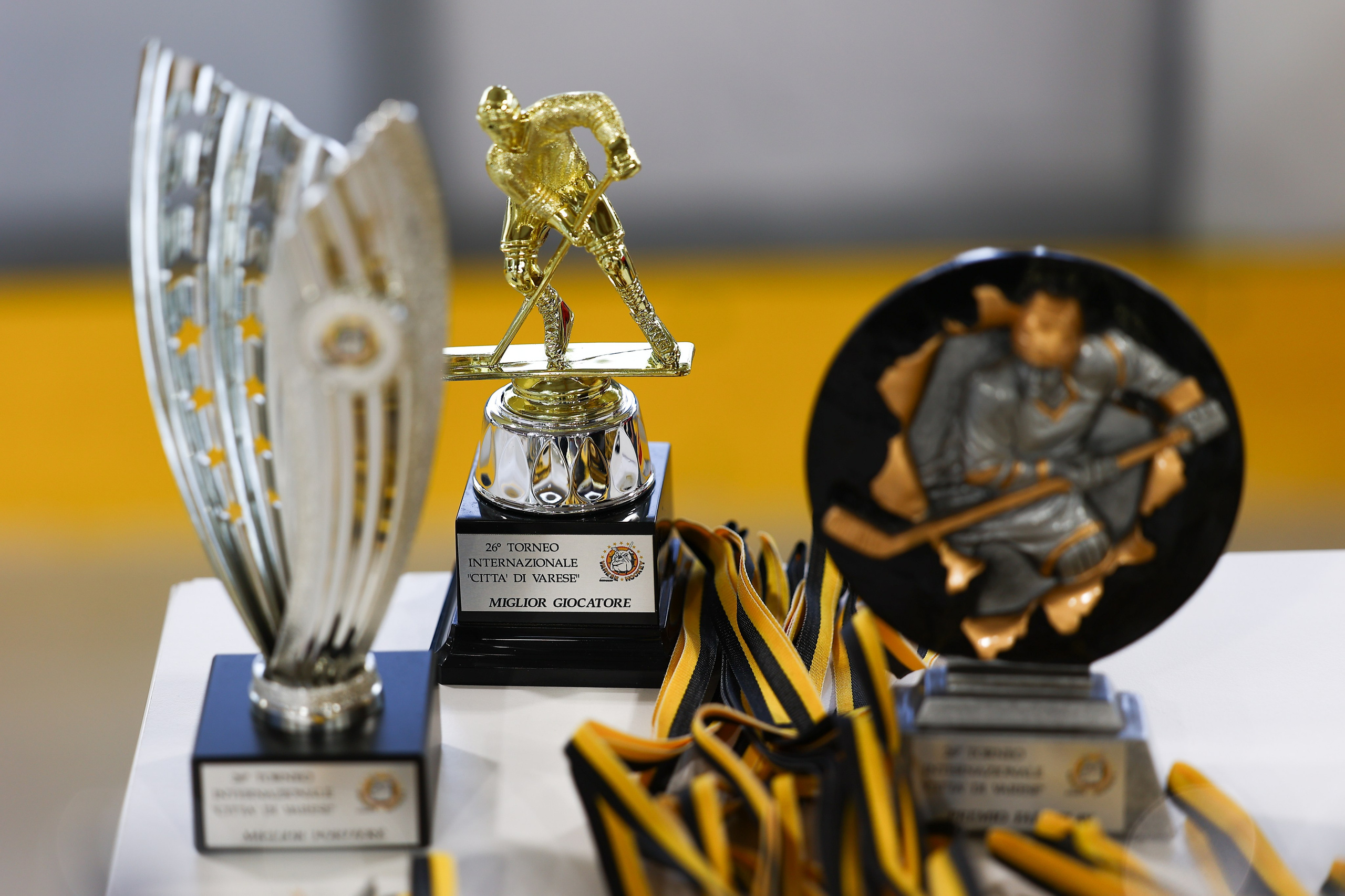 Sport Events. Photographer, Videomaker, Drone, Padova, Venice, Italy, Elena Radchenko