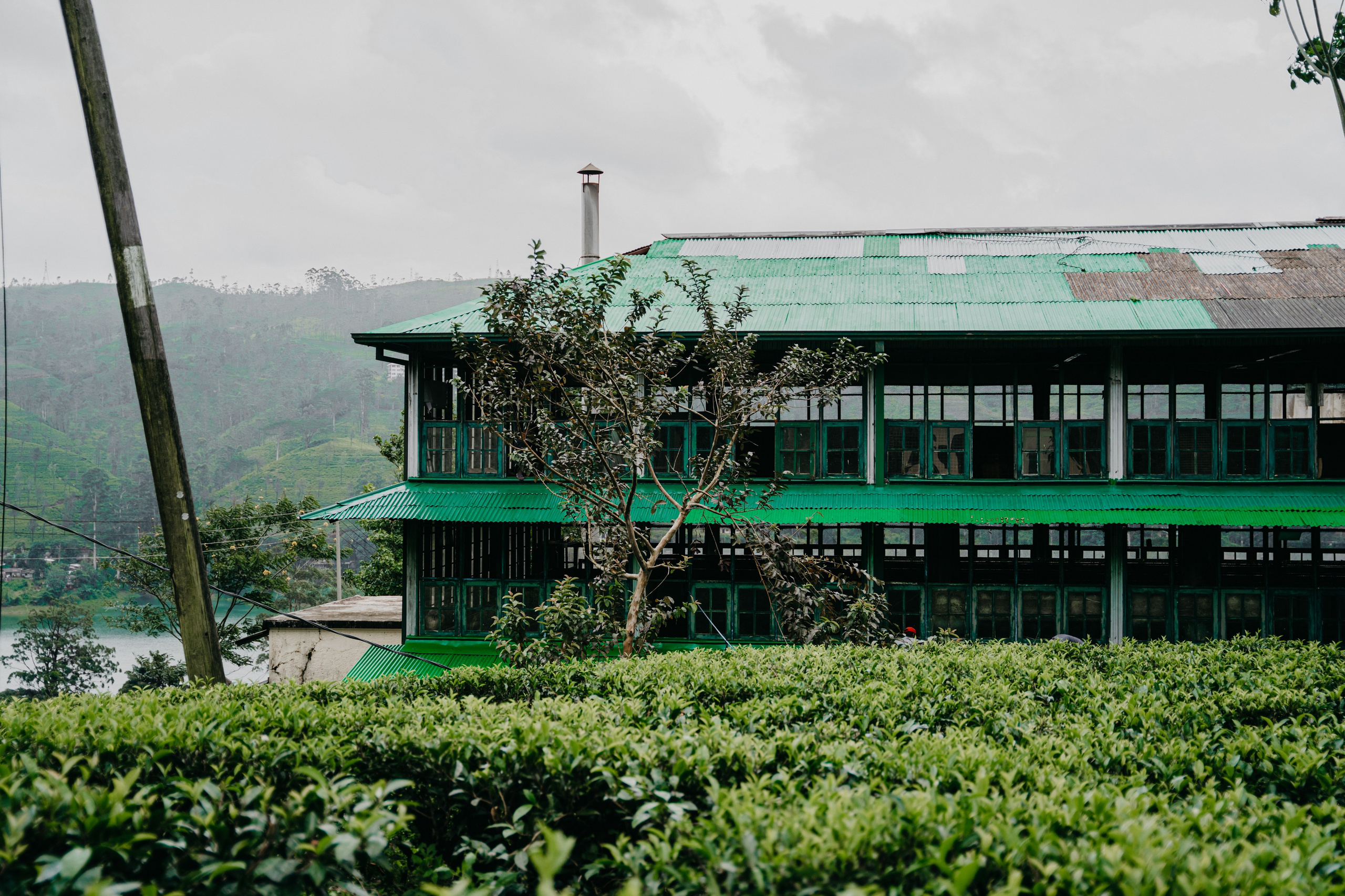 Relais & Châteaux, Tea Trails, Sri Lanka. Editorial photographer Yuliya Drazdovich