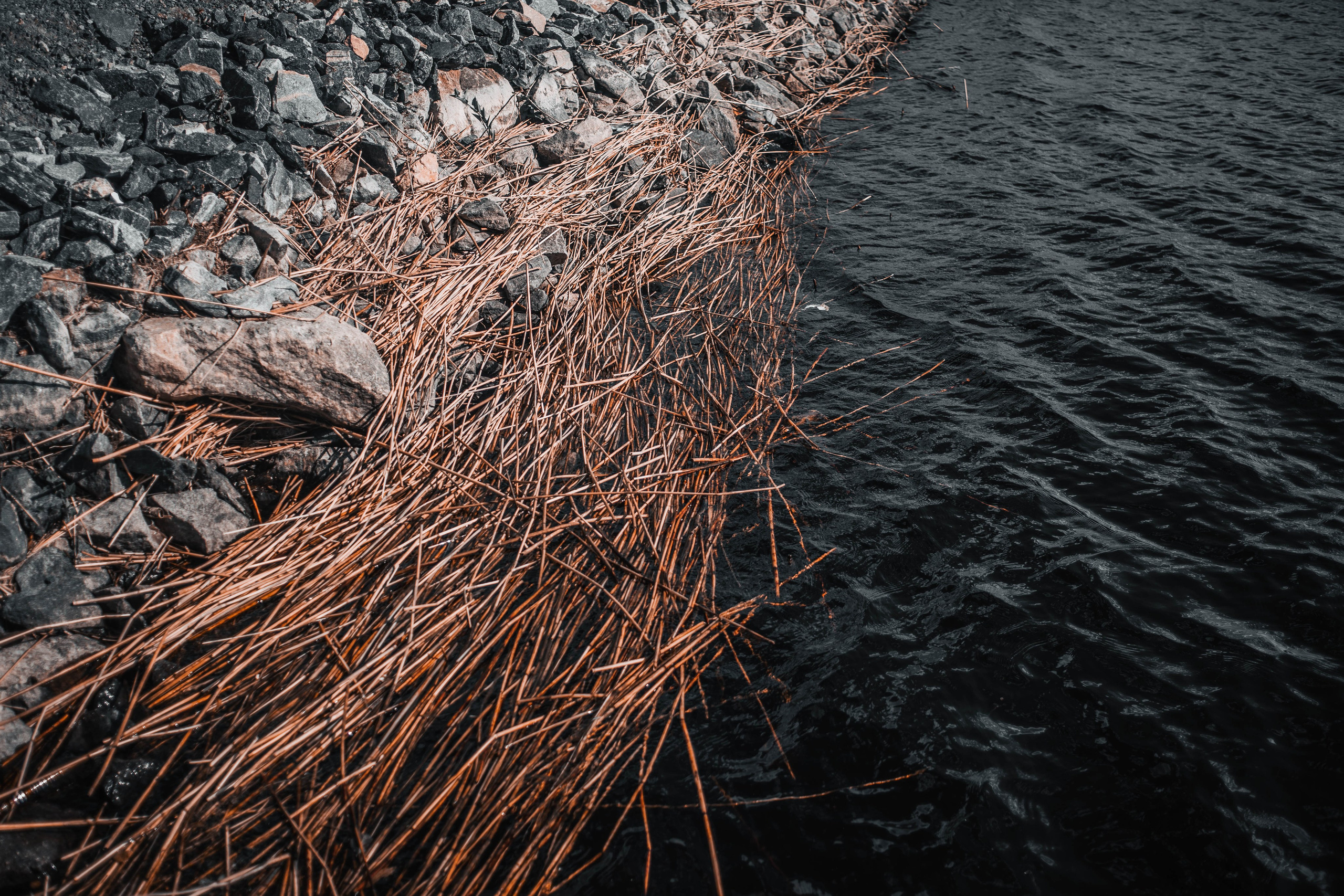 Streetphoto. VEKE MEDIA