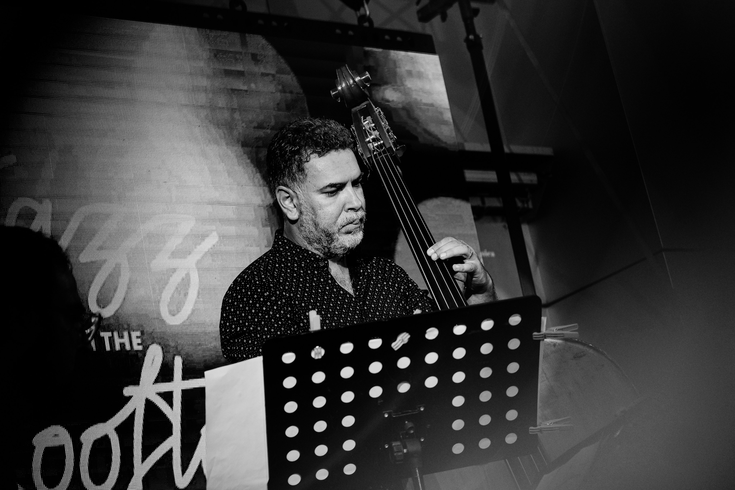 Razvan Cojanu. Hornetart