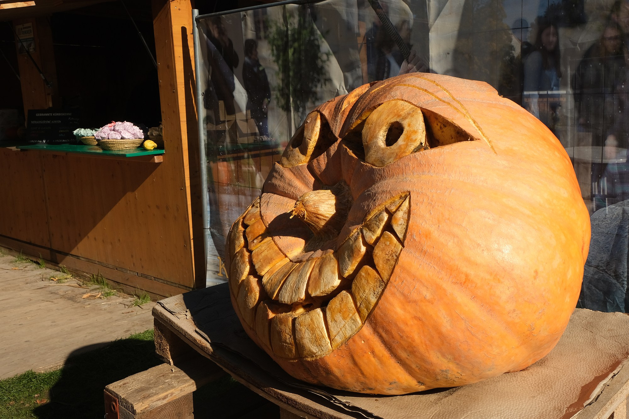 Фестиваль тыквы. Elina Reisen. Туристическое агентство в Аугсбурге