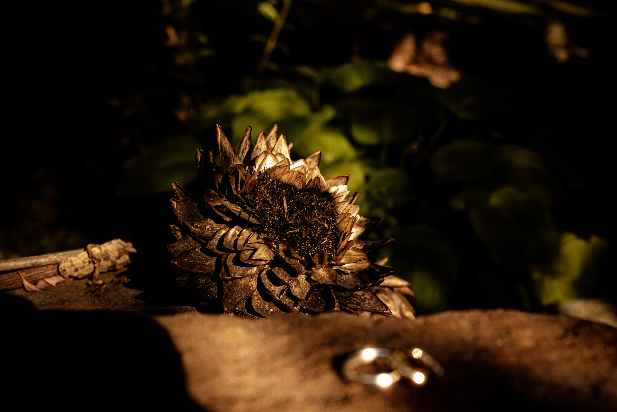 Jovana & Igor. Marko Tucić Photography | Fotograf Zrenjanin