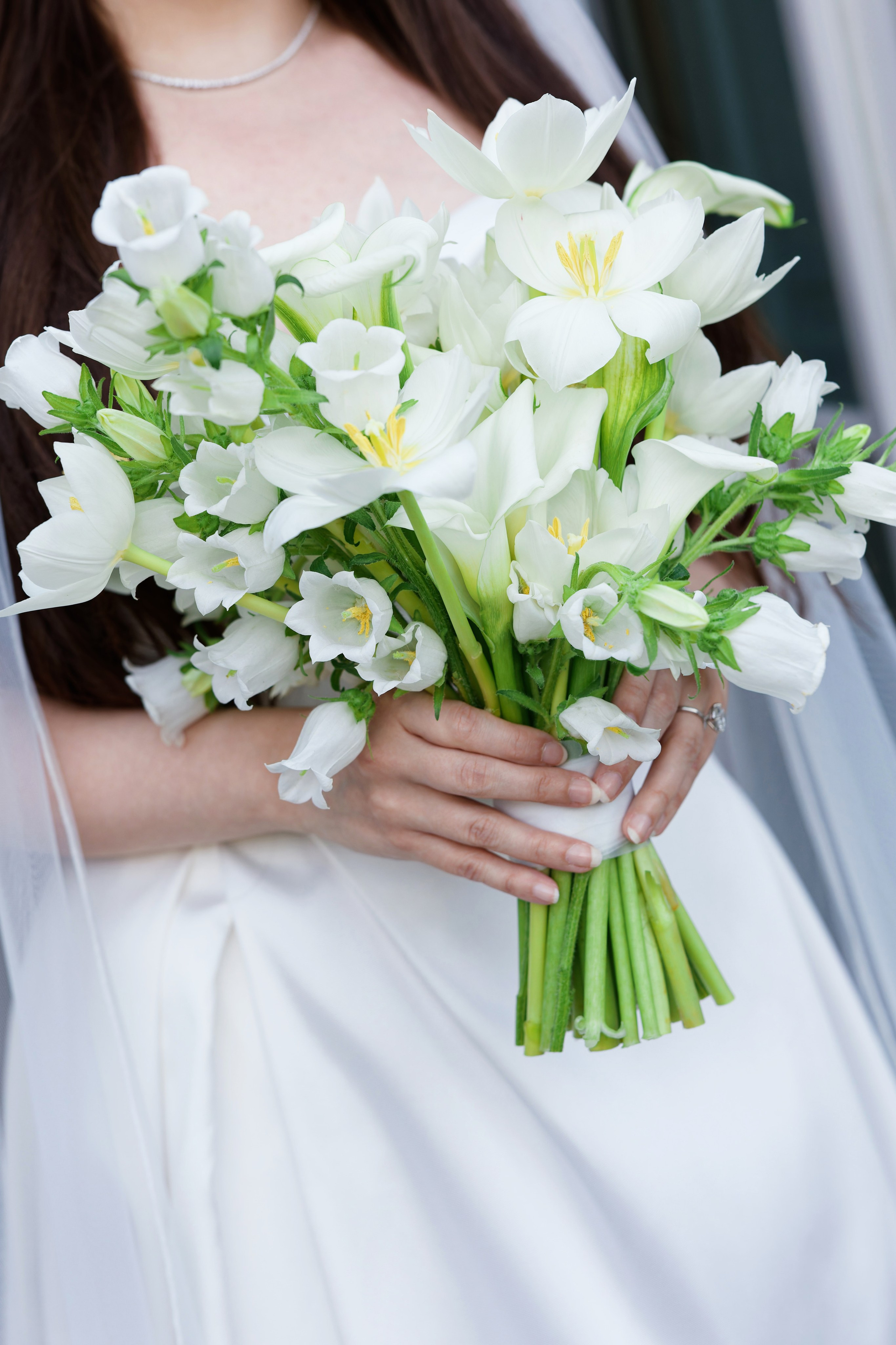 Wedding at Villa Carminati Resta on Lake Como