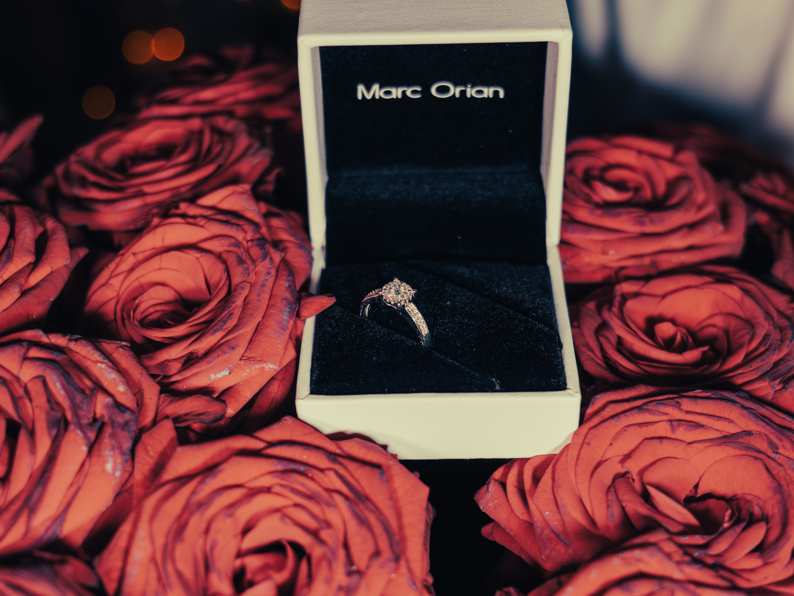 Grigore & Lia. Fotograful și Cameramanul familiei dvs în Franța Paul Photographer