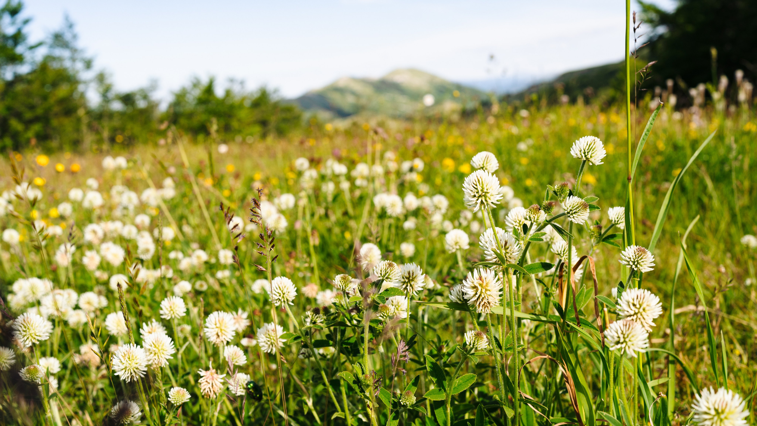 LANDSCAPE. PHOTOGRAPHER|VIDEOGRAPHER MONTENEGRO
