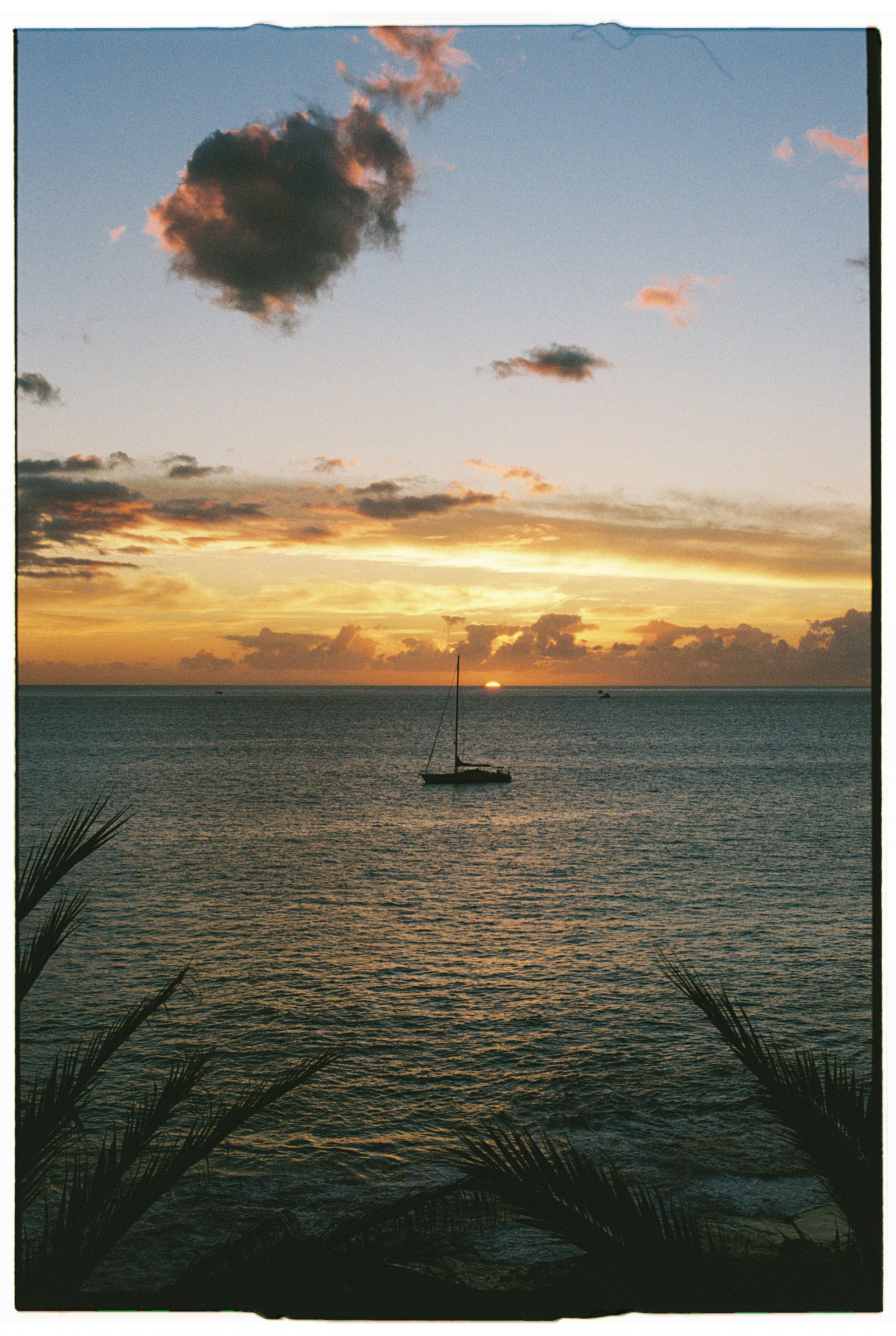 Madeira on film. Portrait photographer in Madeira — Marina Shtukina