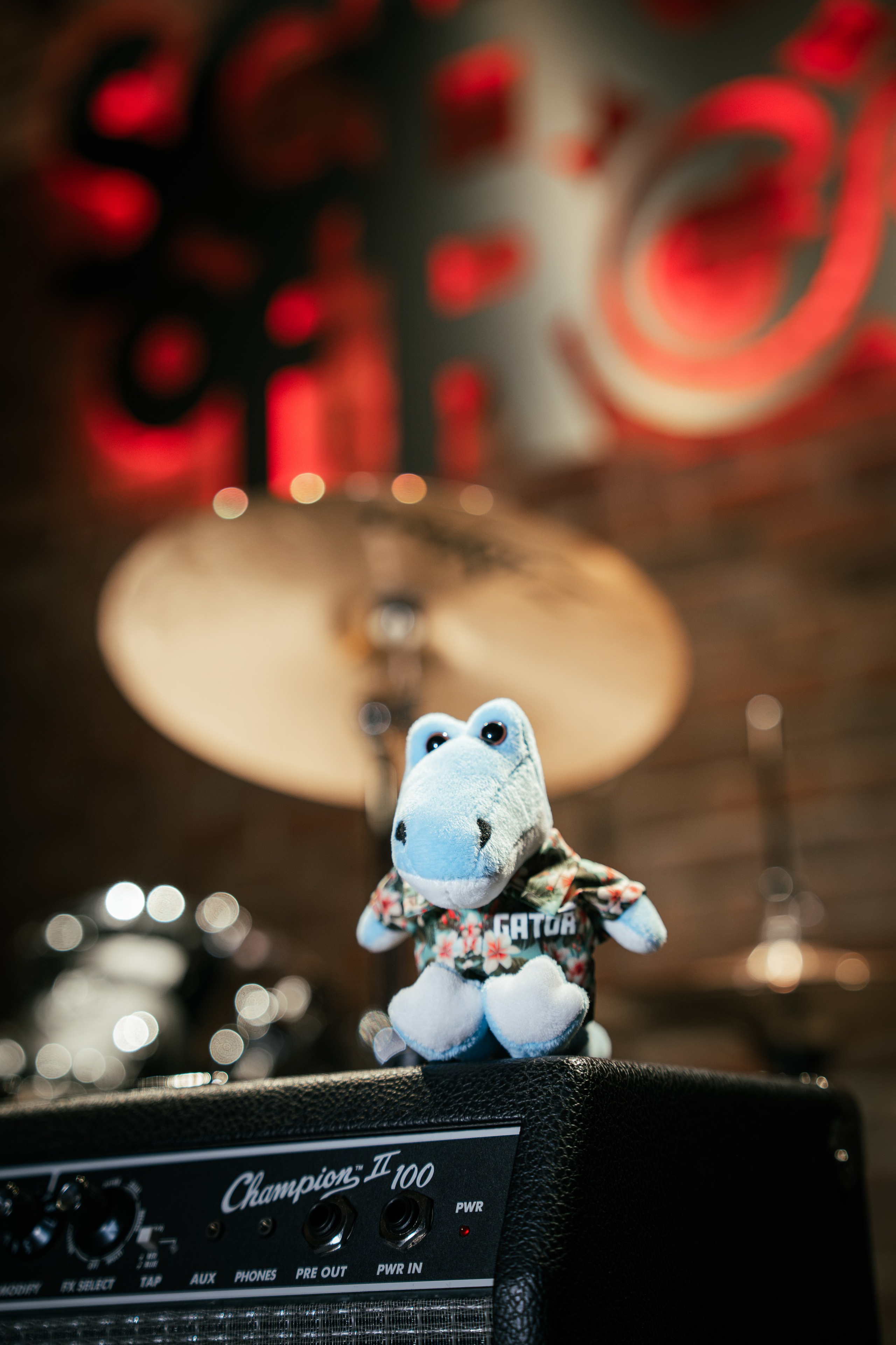 Open School Of Rock. Welcome to my video and photo world!