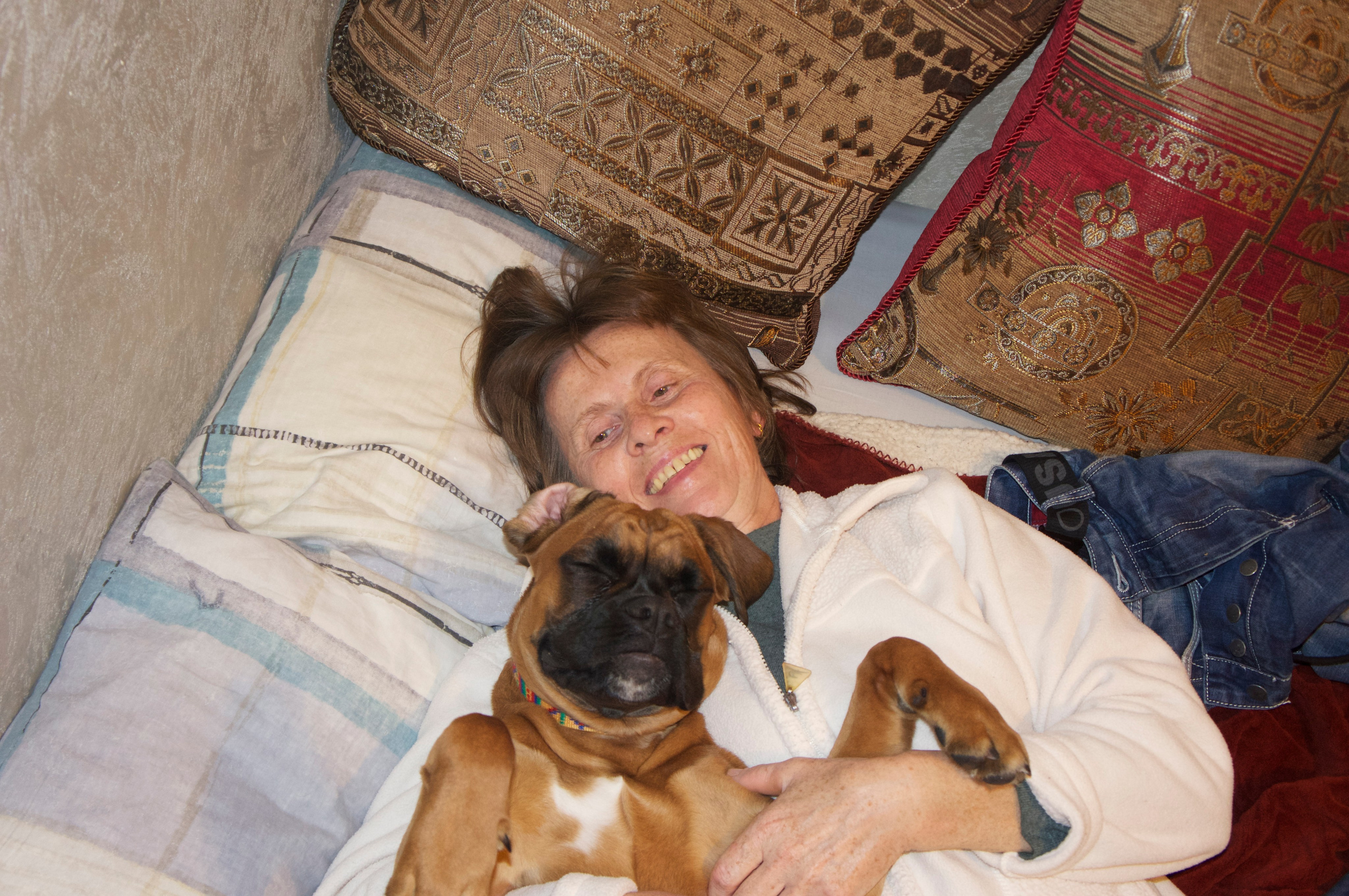 My ״Star״ Boxer Dog