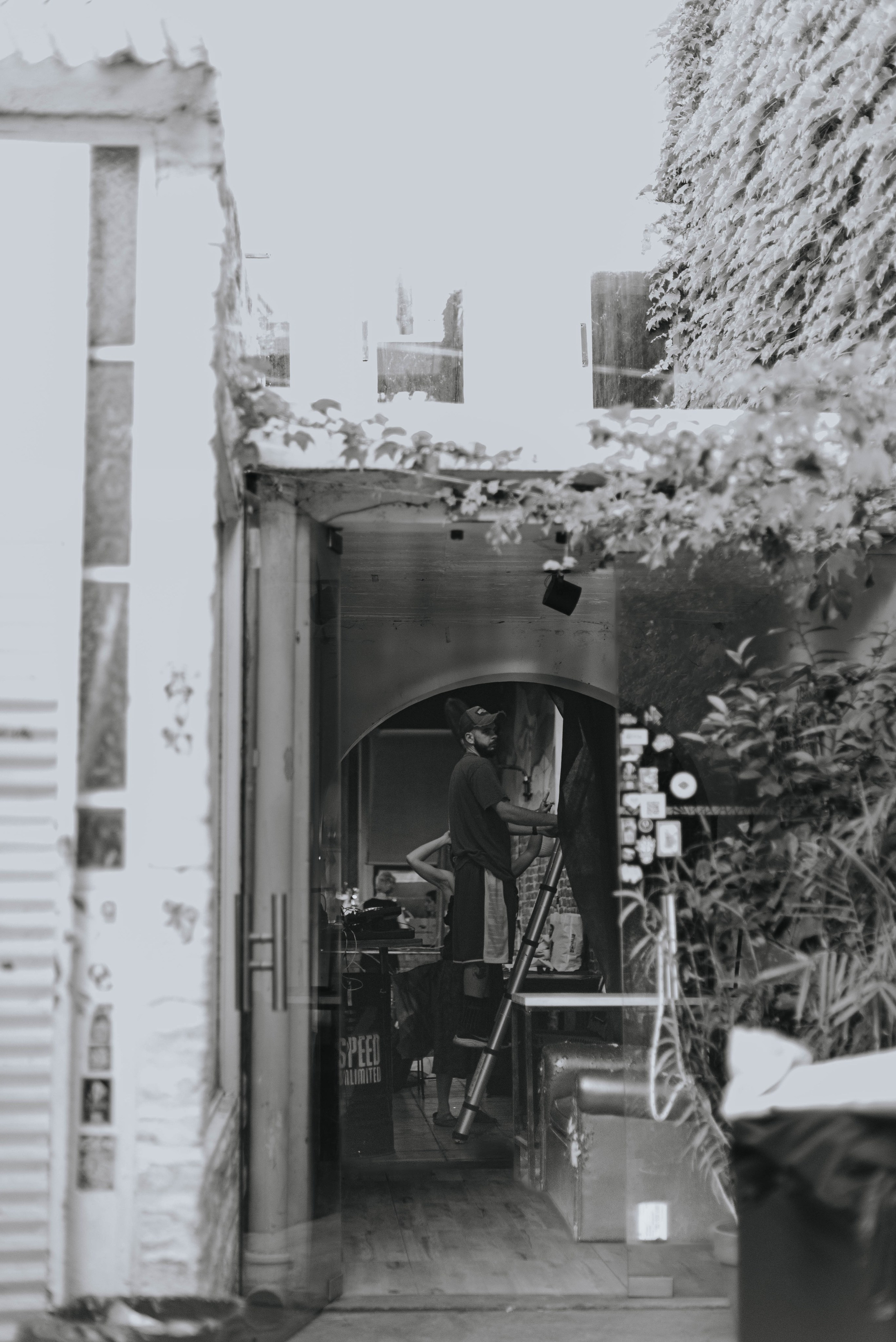 Ladno.cooperativa. Photographer @elmirkami in the city of Buenos Aires