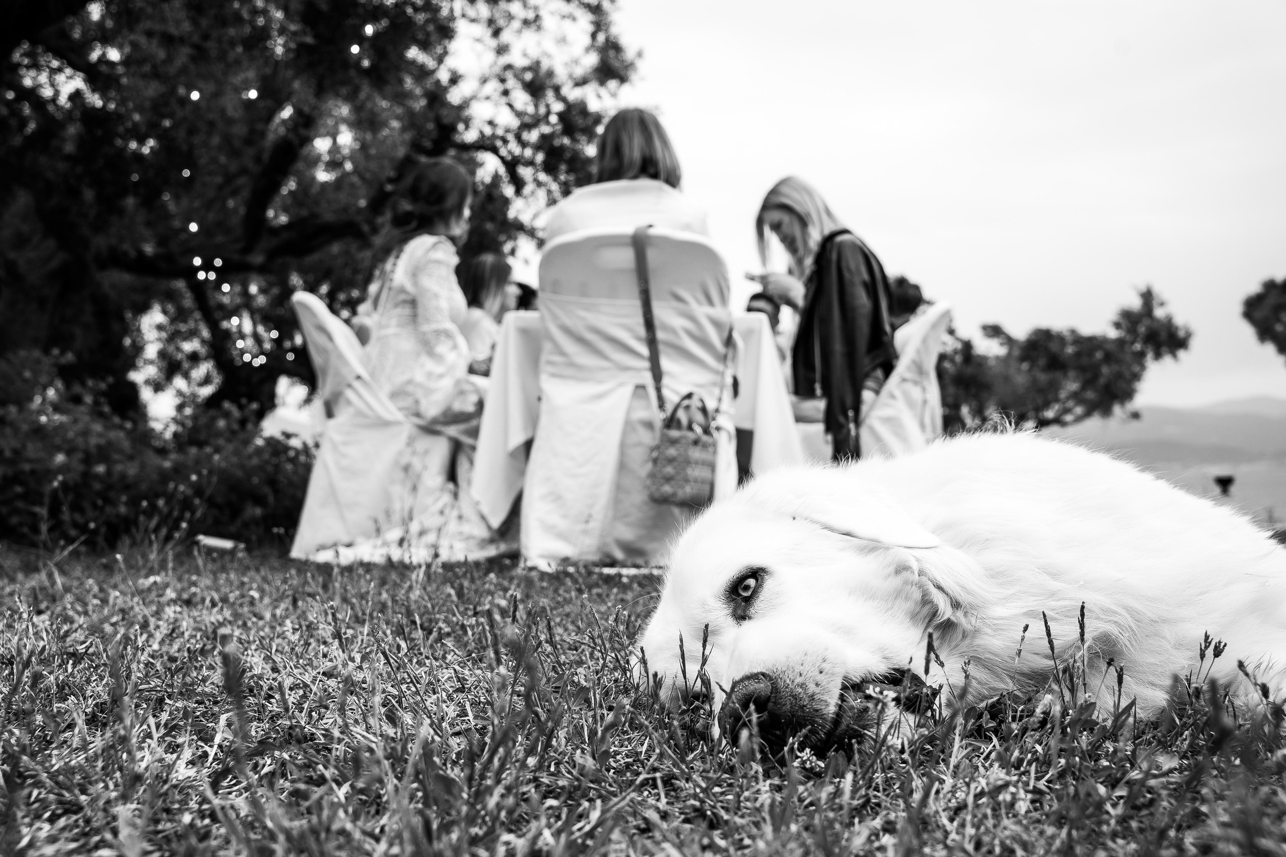 Wedding - D & A. GK Photography – Capture the Moment