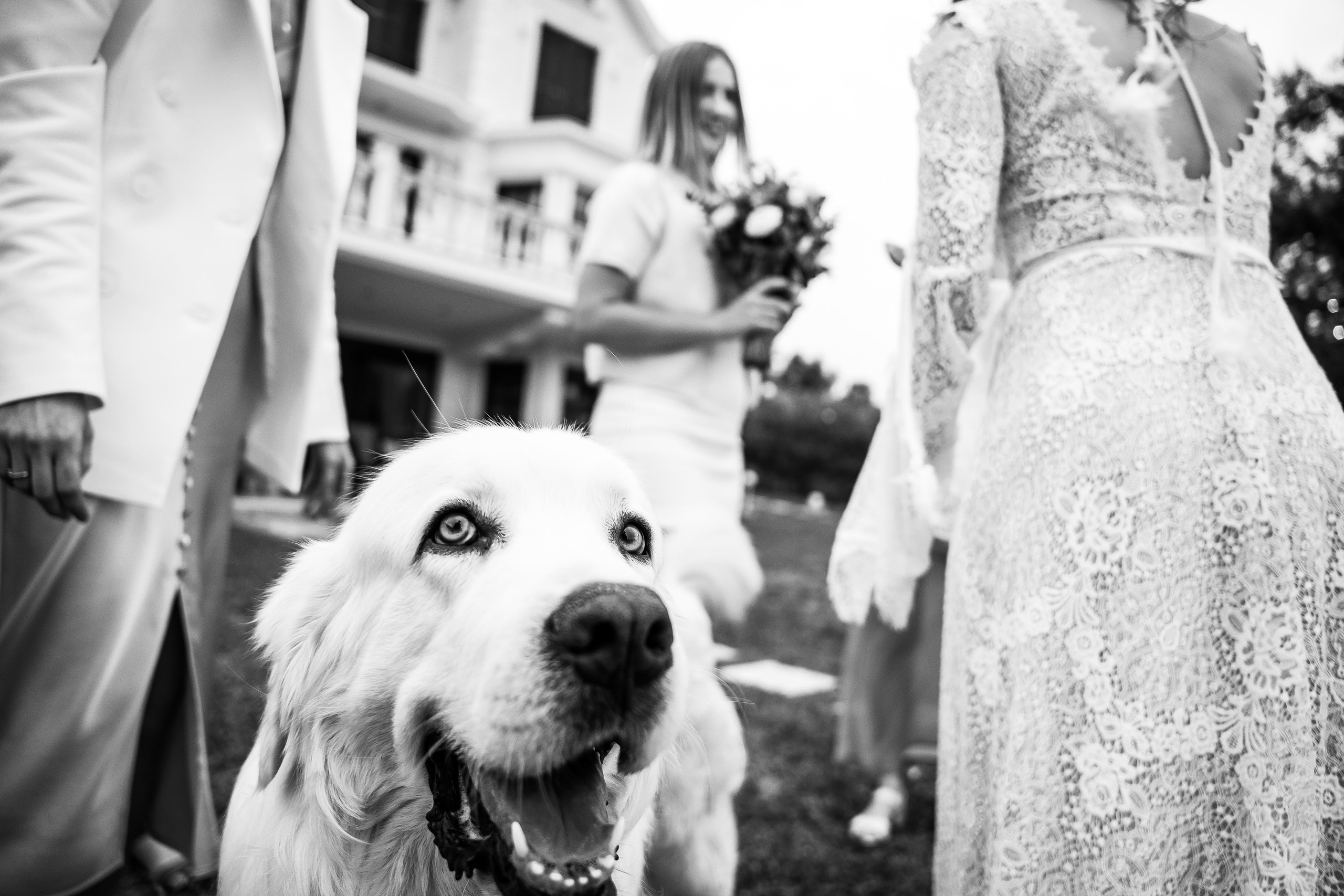 Wedding - D & A. GK Photography – Capture the Moment