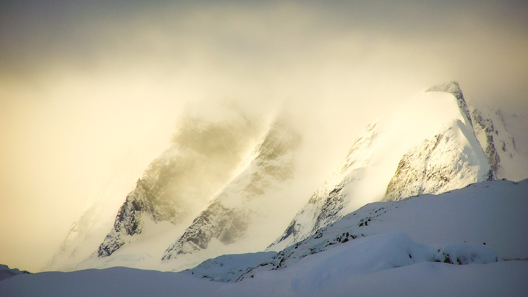 ANTARCTICA / 2004. Reportage concert portrait photography in the San Francisco Bay Area
