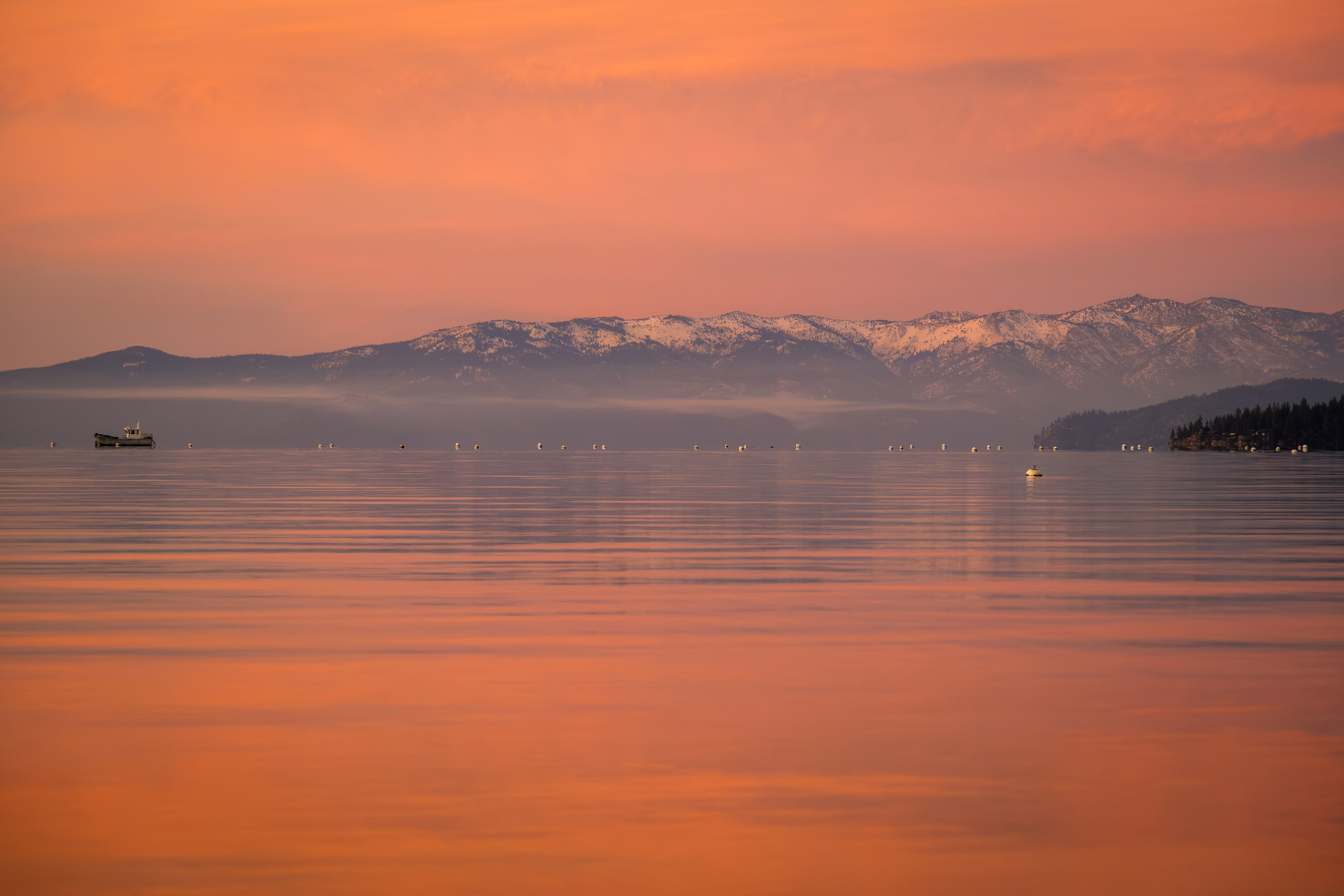 TAHOE. Reportage concert portrait photography in the San Francisco Bay Area
