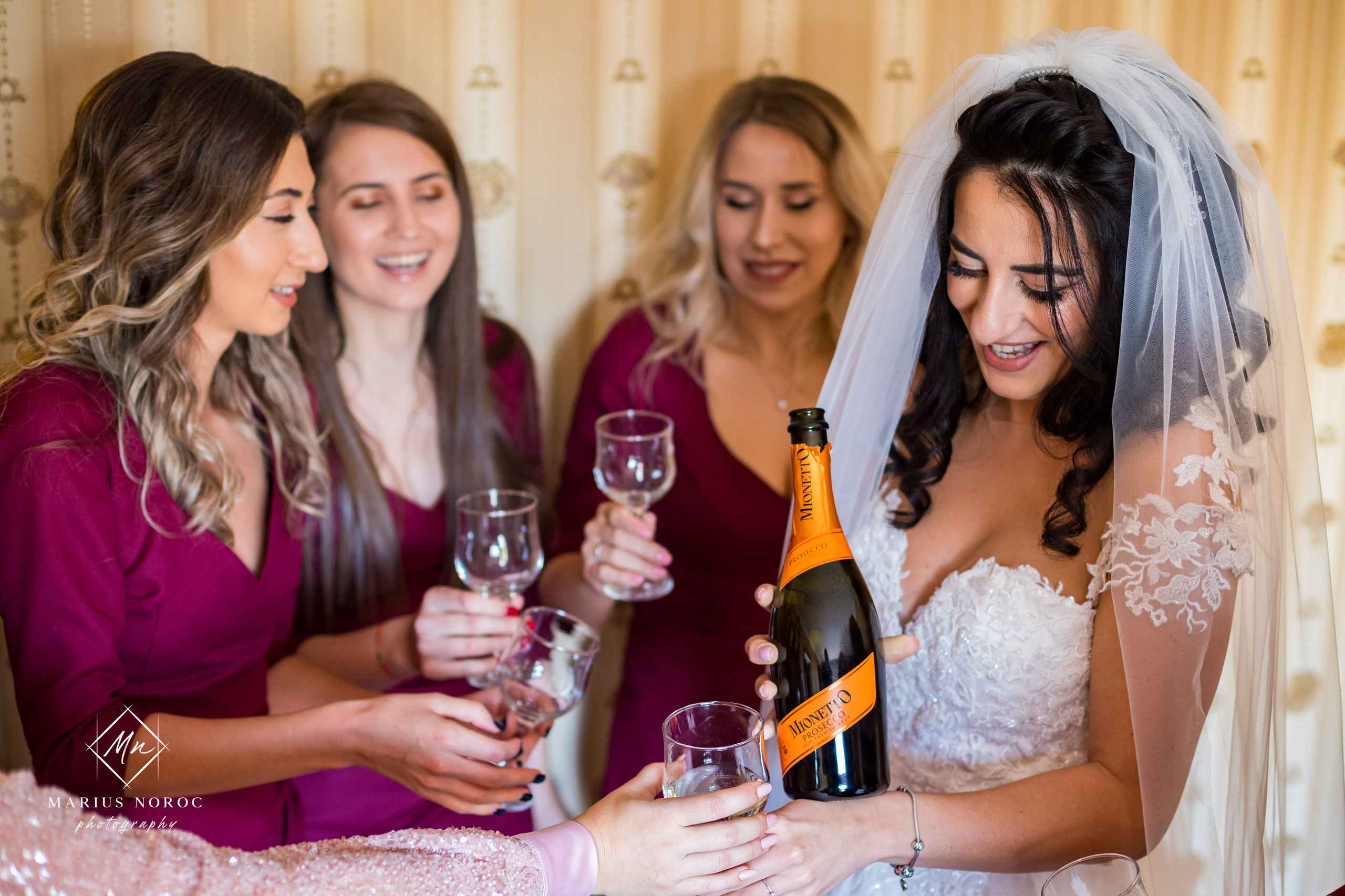 Elena & Petrisor | Hotel Restaurant La Castel Iasi