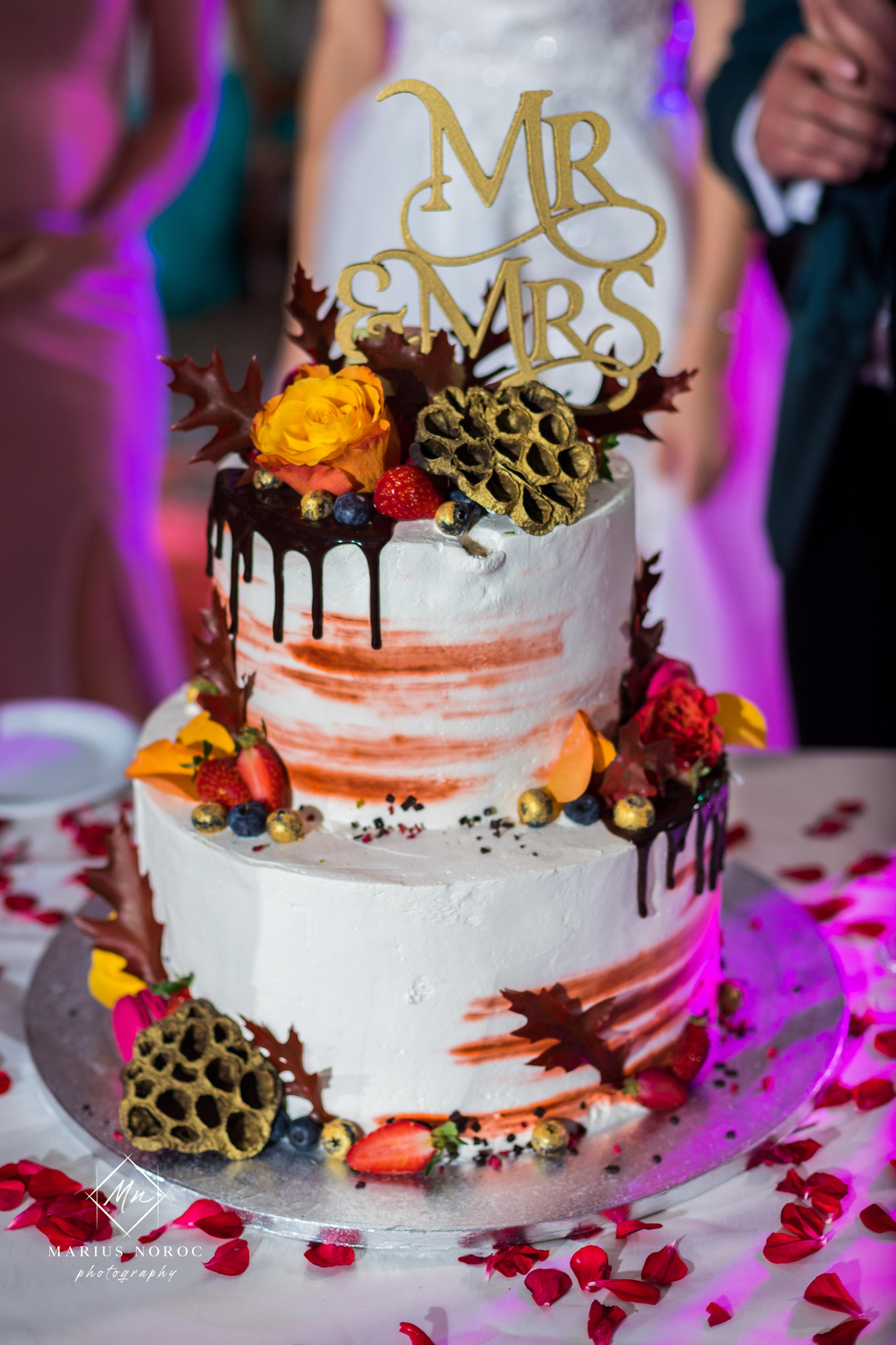 Elena & Petrisor | Hotel Restaurant La Castel Iasi