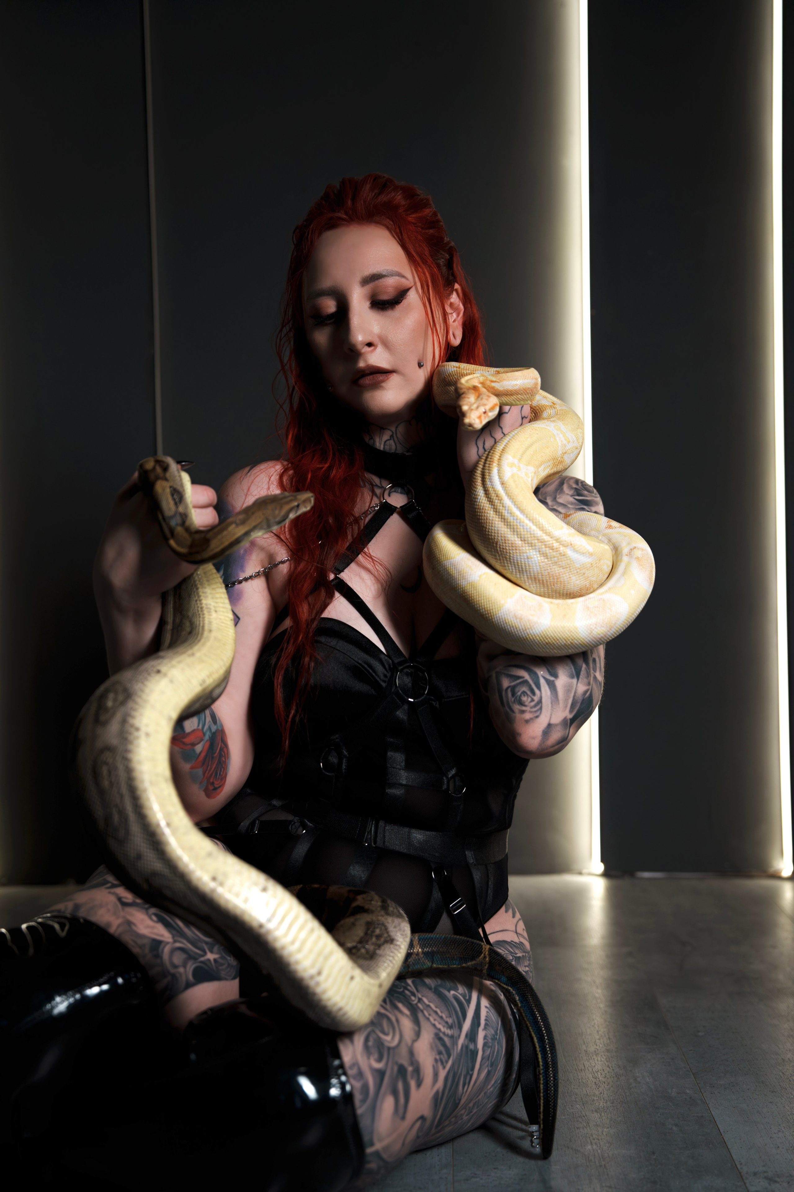 Victoria | Premium collaboration with snakes in a studio in Warsaw. Roman Volkov 🐍 Snake Father Warsaw, Poland