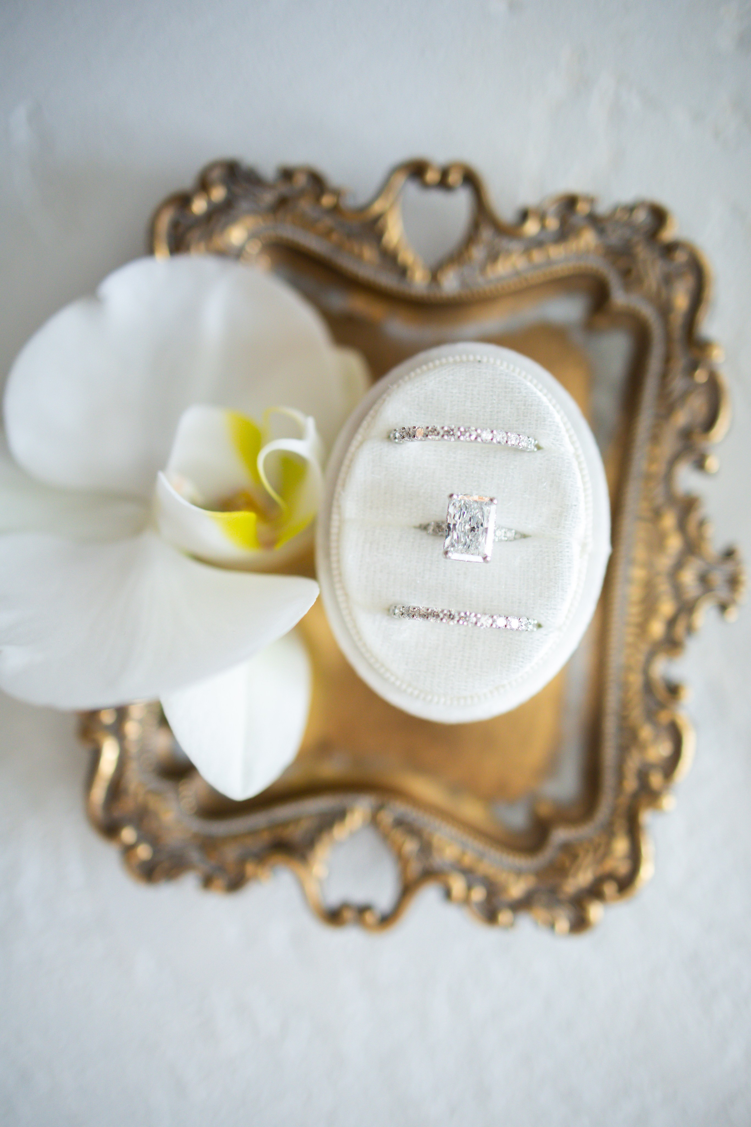 Gianna and Alexander, Shadowbrook at Shrewsbusy, NJ. Wedding Photo & Video