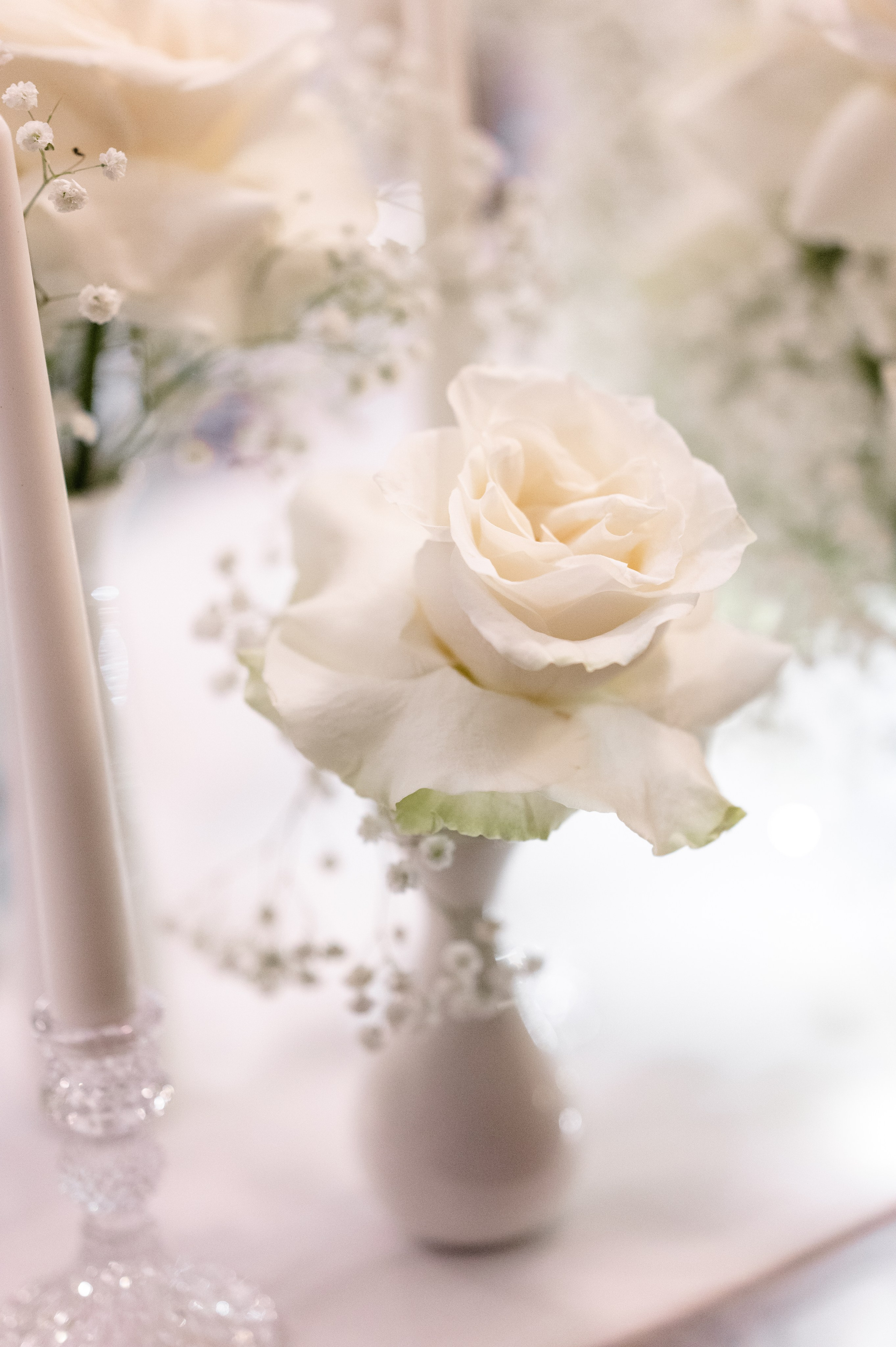 Raluca + Mihai | Wedding Select. Alexandra Hanu Photographer