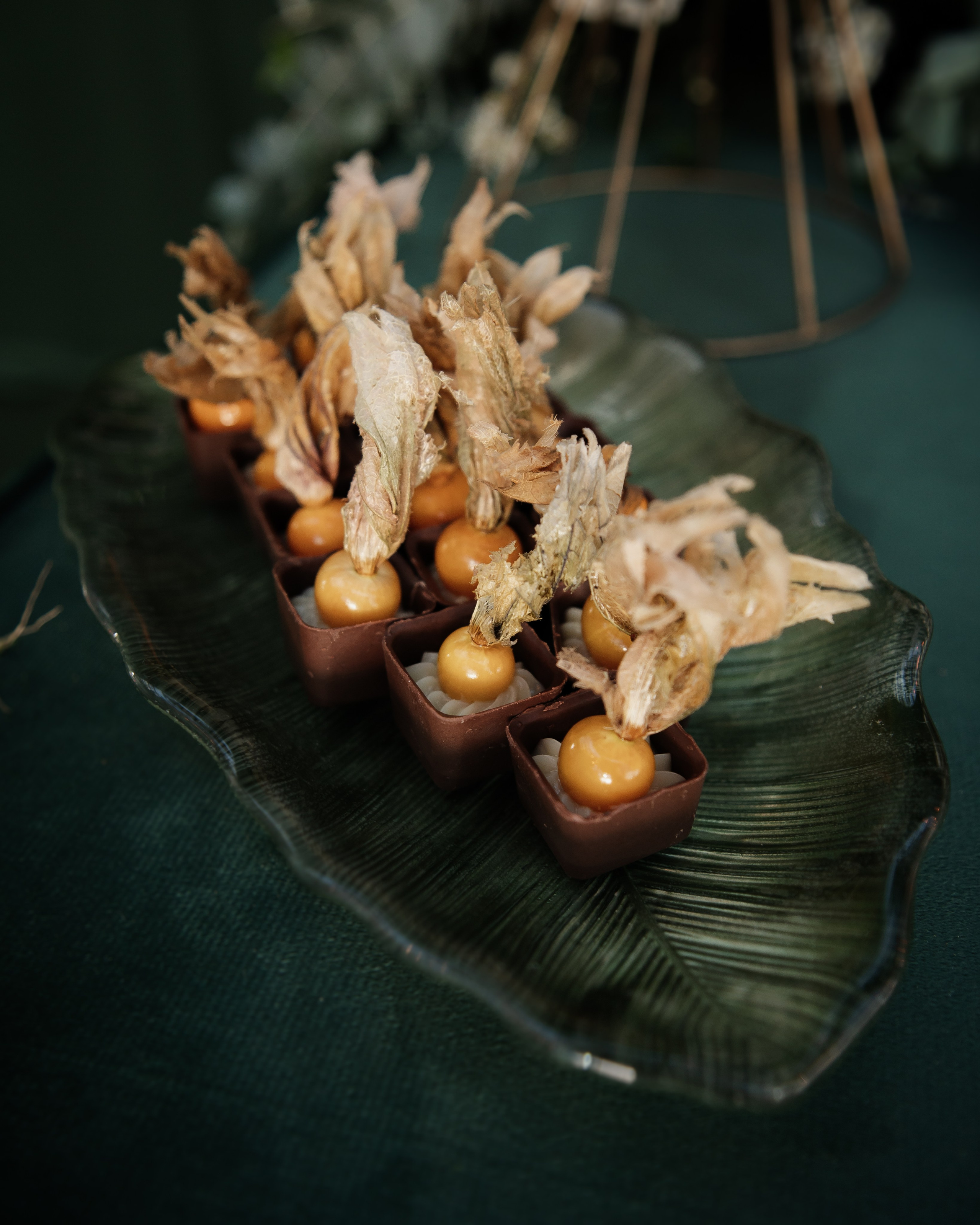 Um dia inesquecível. Lembrar não é só ver. É sentir de novo