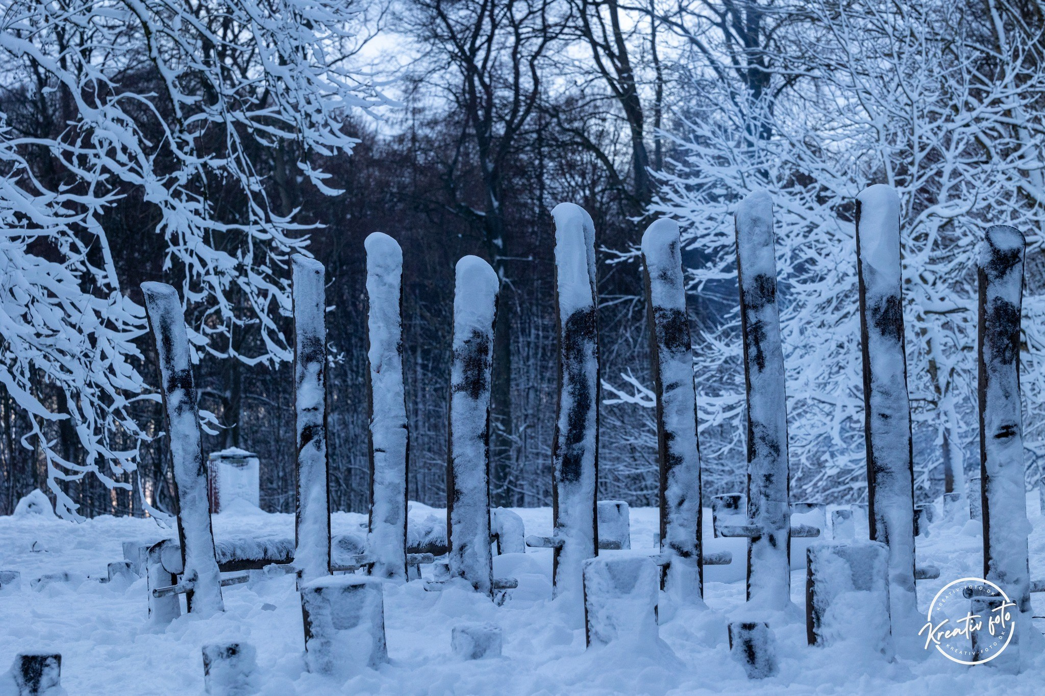 Vinter. Fotograf Aarhus | Portrætfoto Århus | Flotte billeder