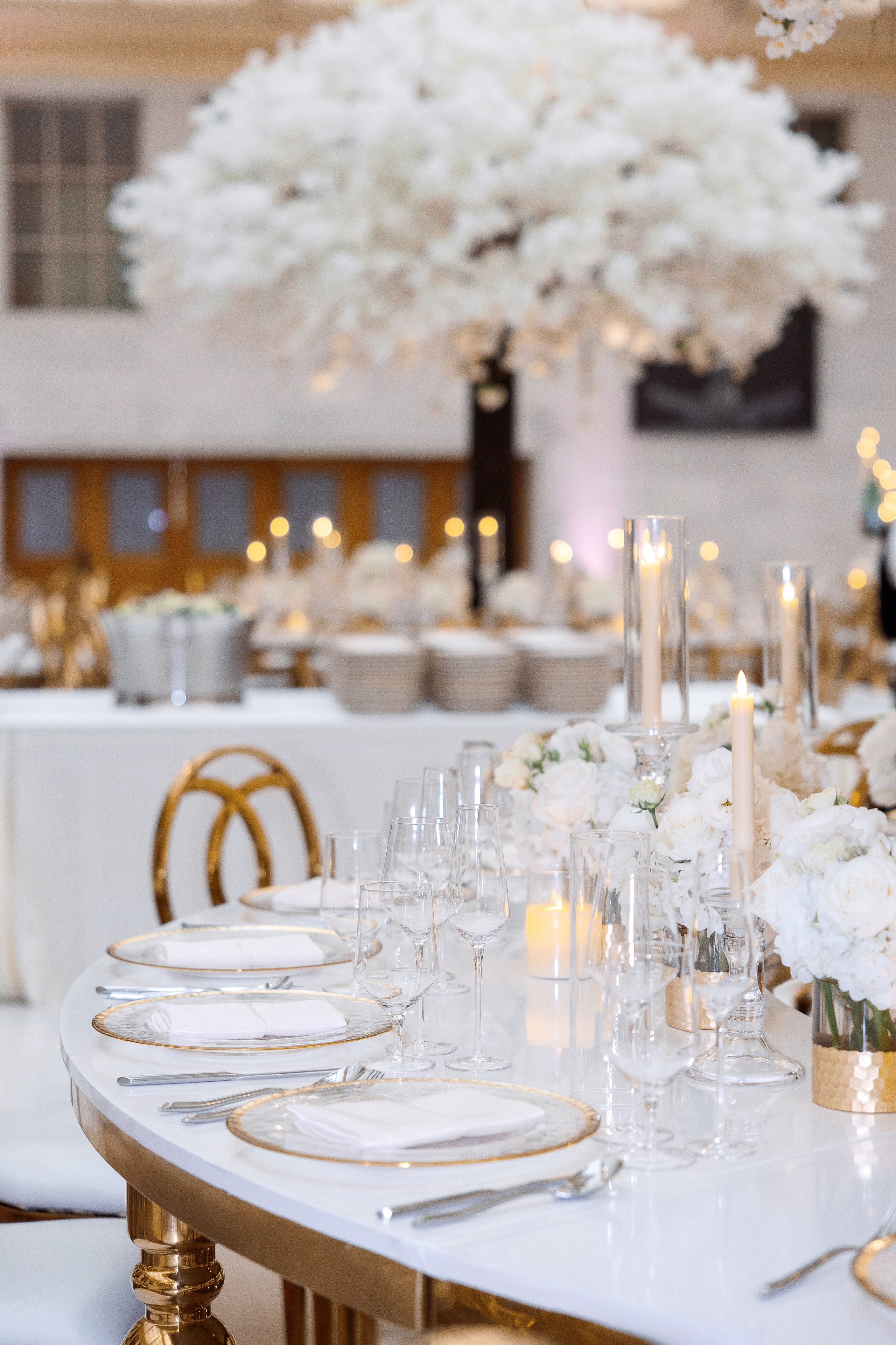 Wedding at City Hall. Family and Event photographer in Bay Area Elena Tiuriumina