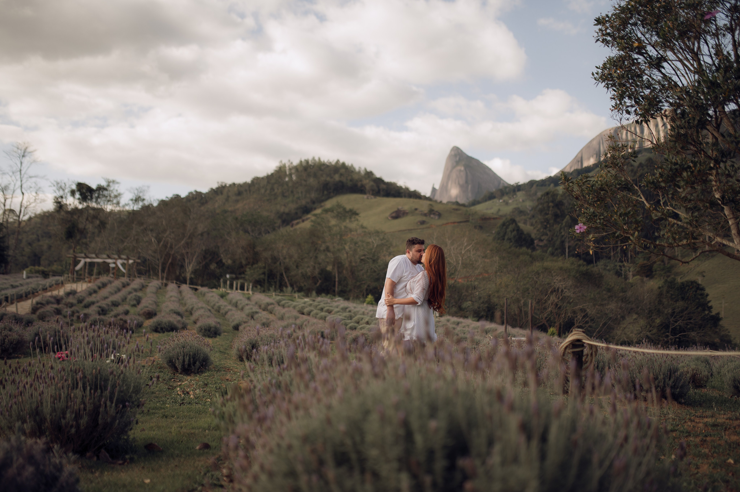Joana & Robert | Lavandário em Pedra Azul. Lembrar não é só ver. É sentir de novo