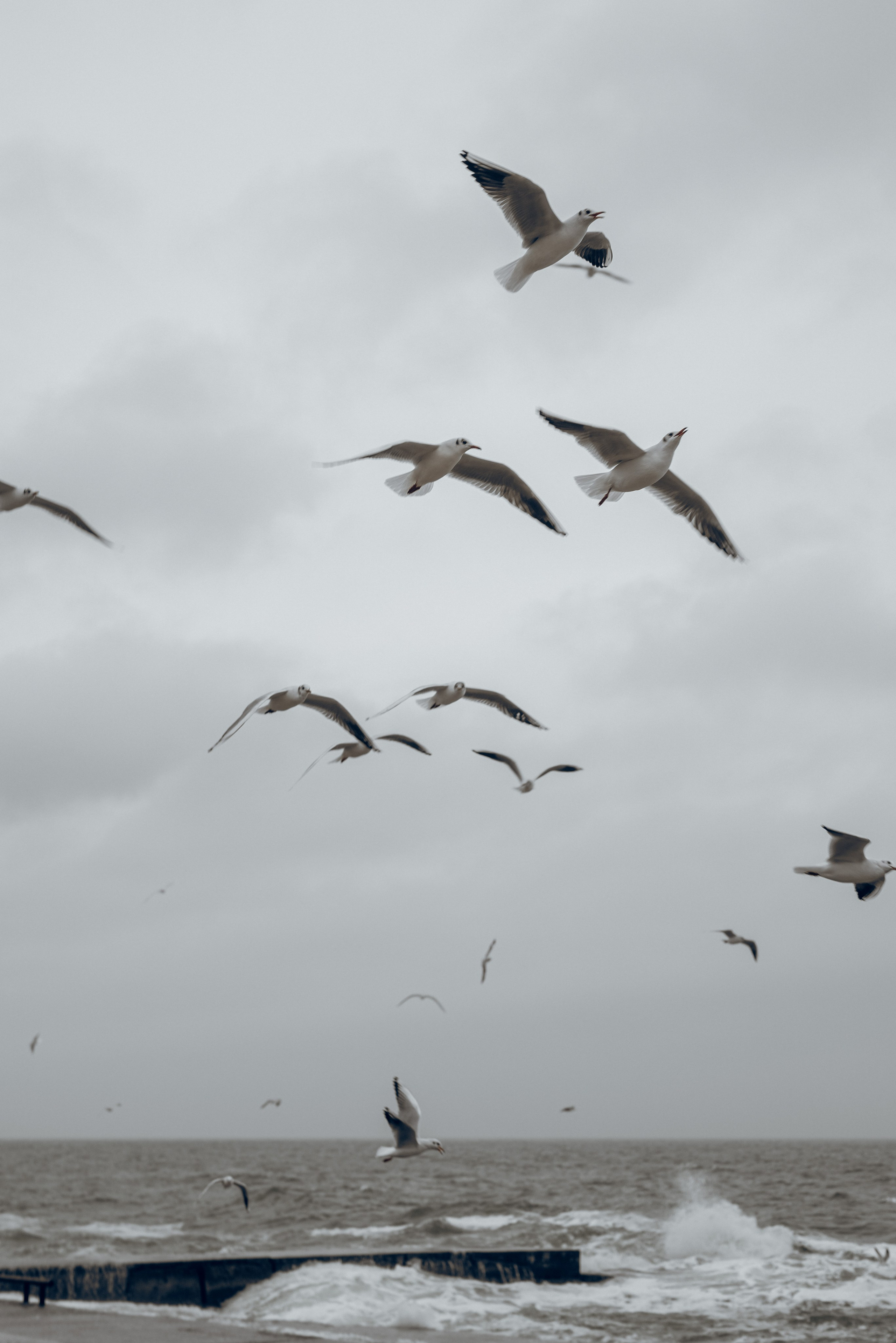 Ирина. Фотограф Ирина Новикова