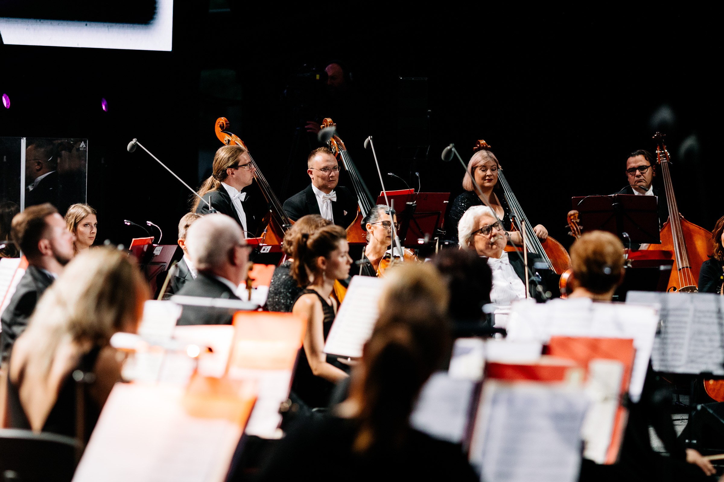 Opera Leśna Koncert. Fotograf Ślubny Warszawa - Sesje Biznesowe Rodzinne Eventy
