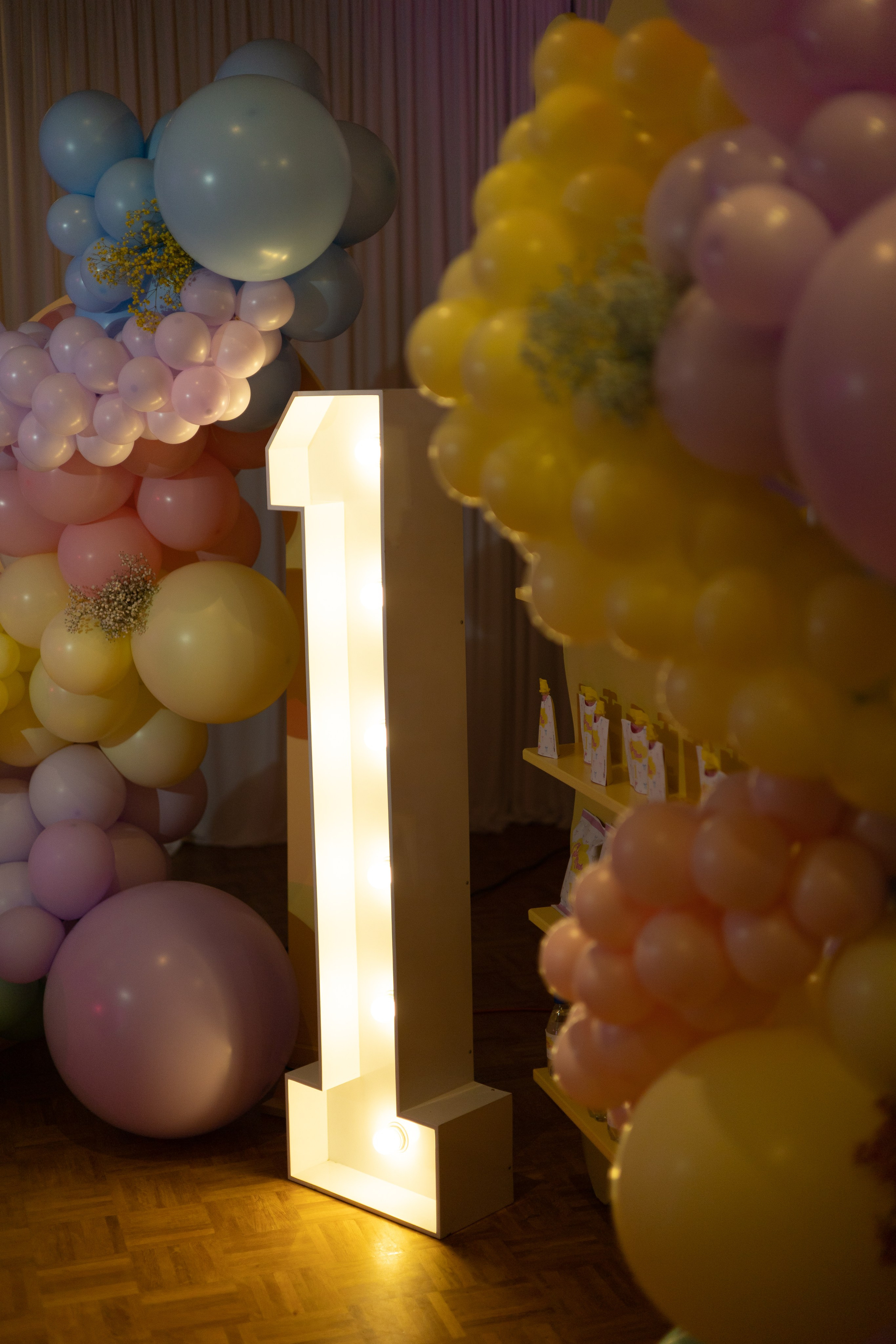 1 st Birthday. Portrait and Family Photographer in Netherlands