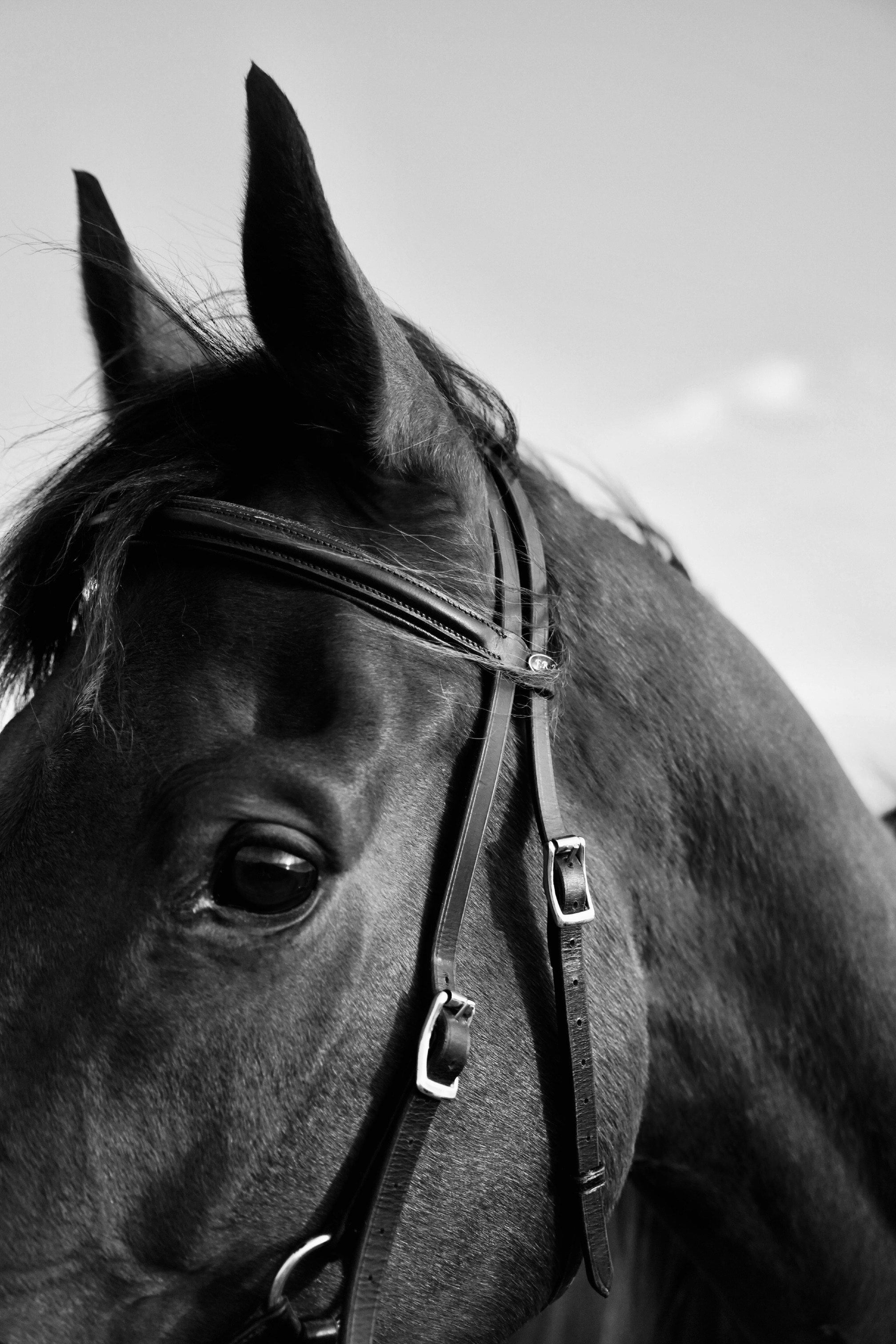 Victoria & Richard. Главная