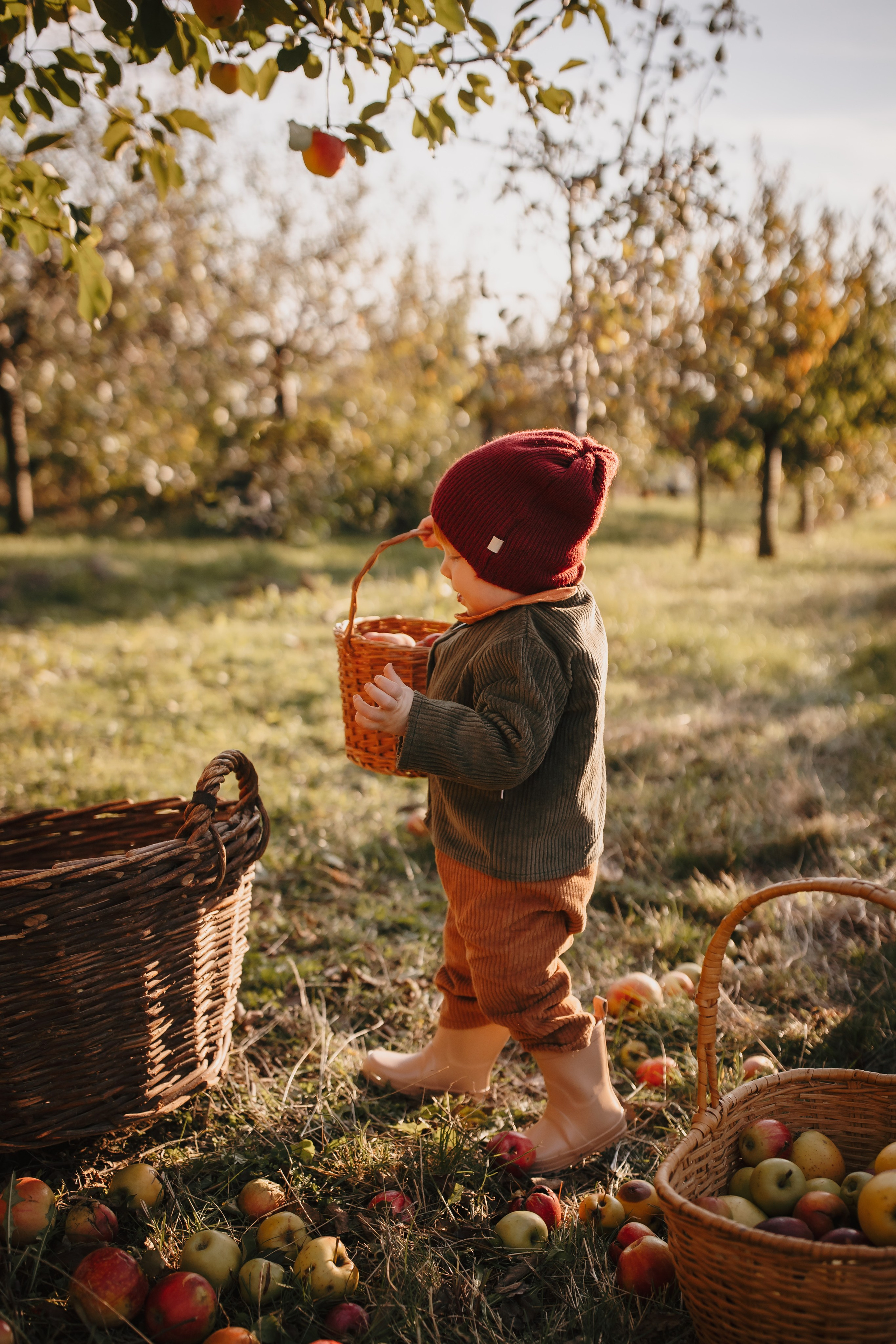 Toamna in livada. Fotograf de eveniment din Buzău | Bogdan