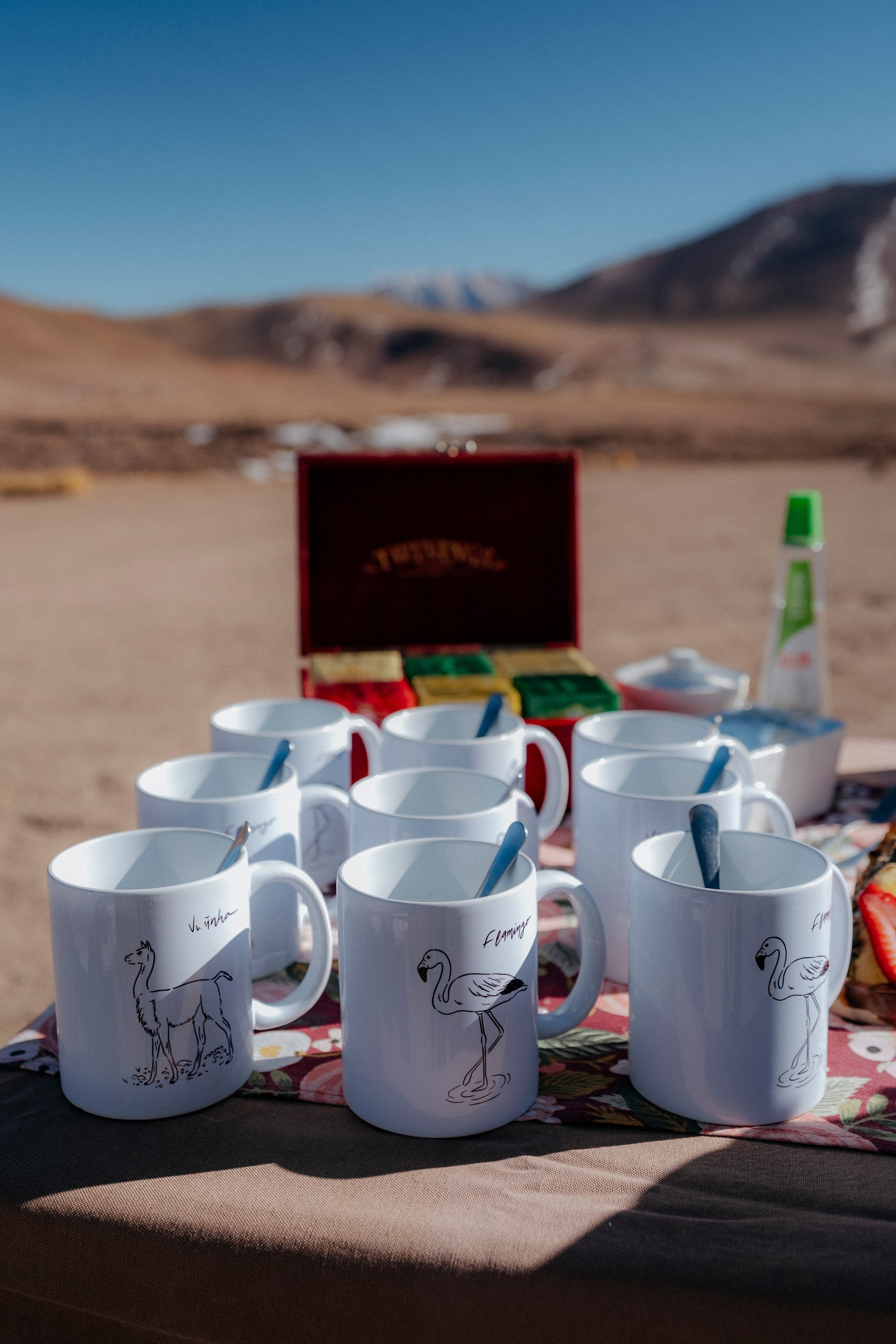Geyser El Tatio (cobertura en tour privado). Principal