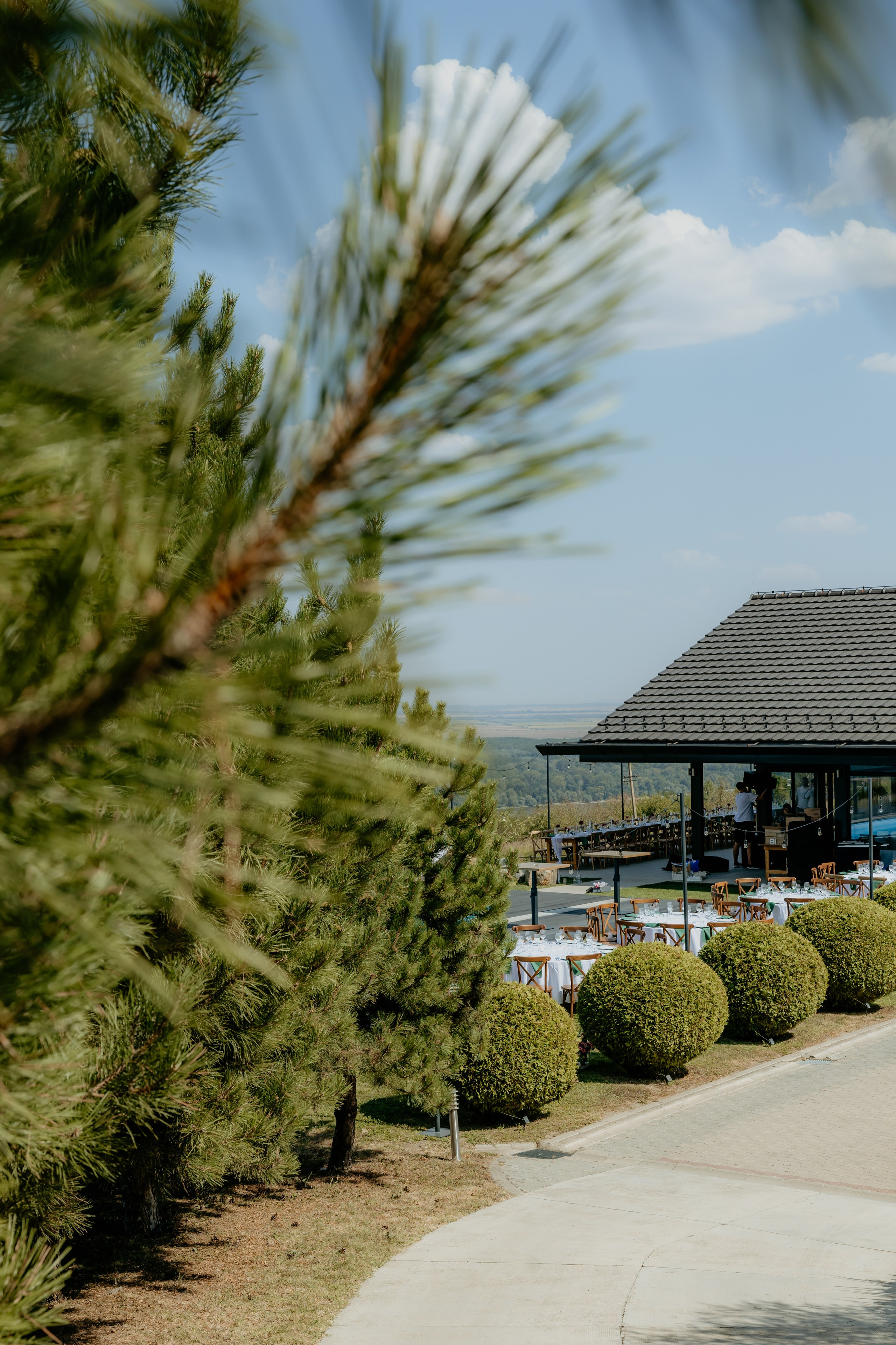 J&C Wedding. Family and children photographer in Belgrade Milja Ciric