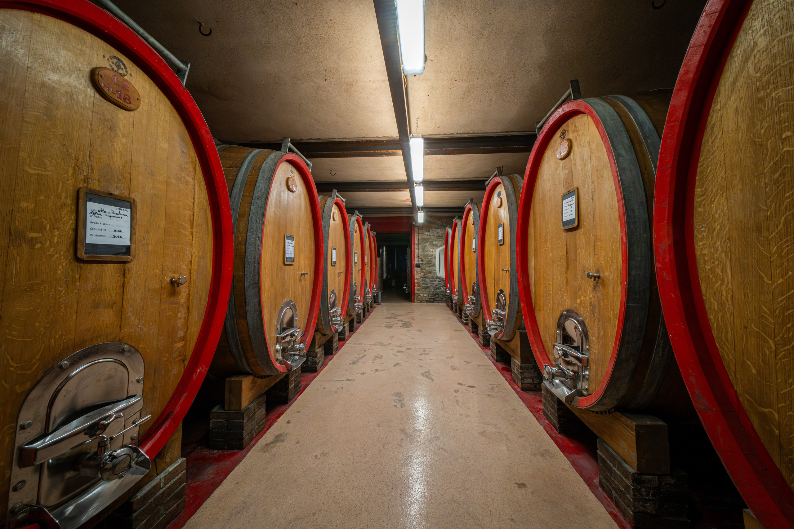 Cantine Boasso Serralunga. “Gianmaria Coscia fotografo per passione”