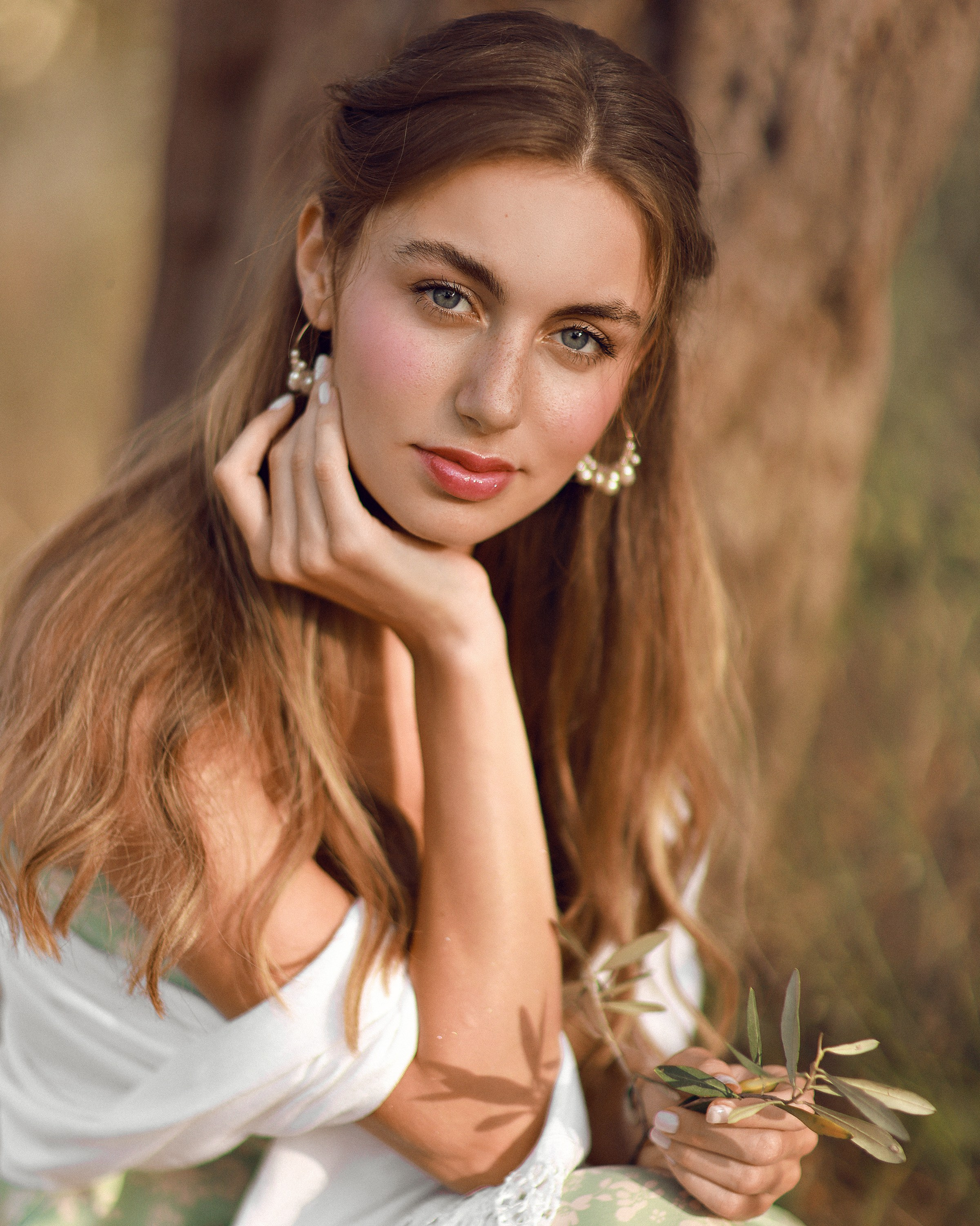 Diana Olive Tree. Dana