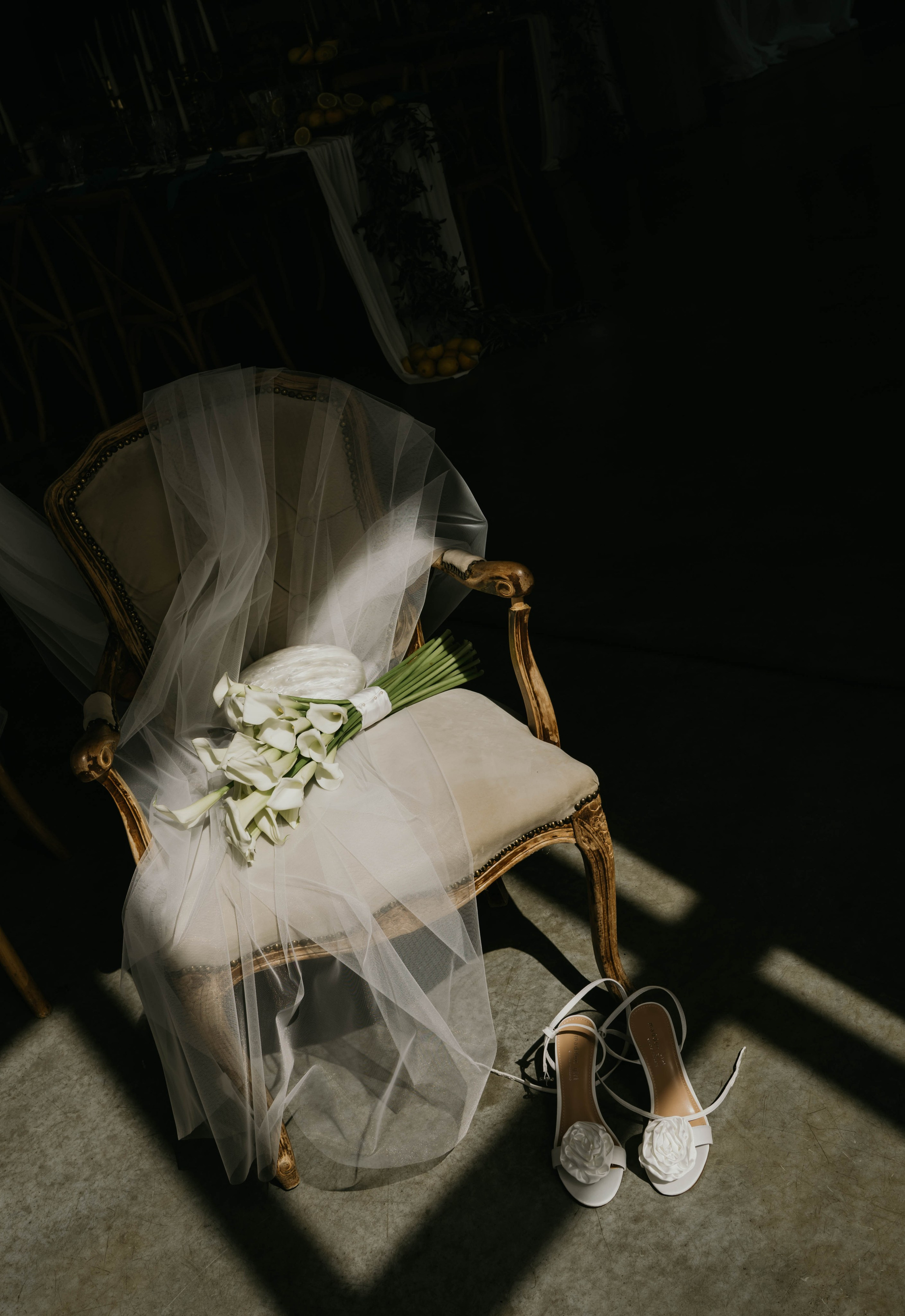 JULIA DAWID. Fotograf Mykhalchuk Inna Kraków