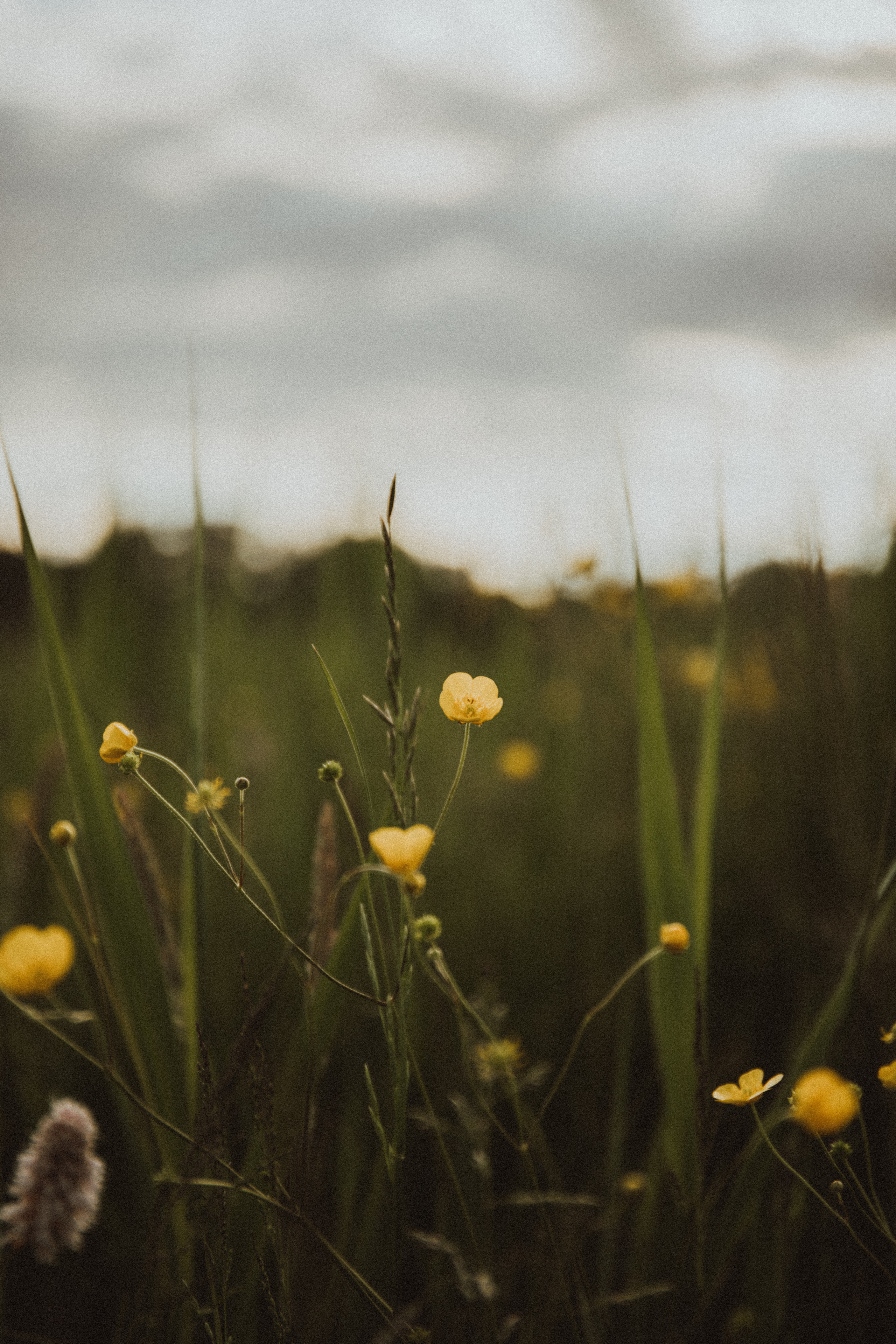 Anna Maks. Fotograf Mykhalchuk Inna Kraków
