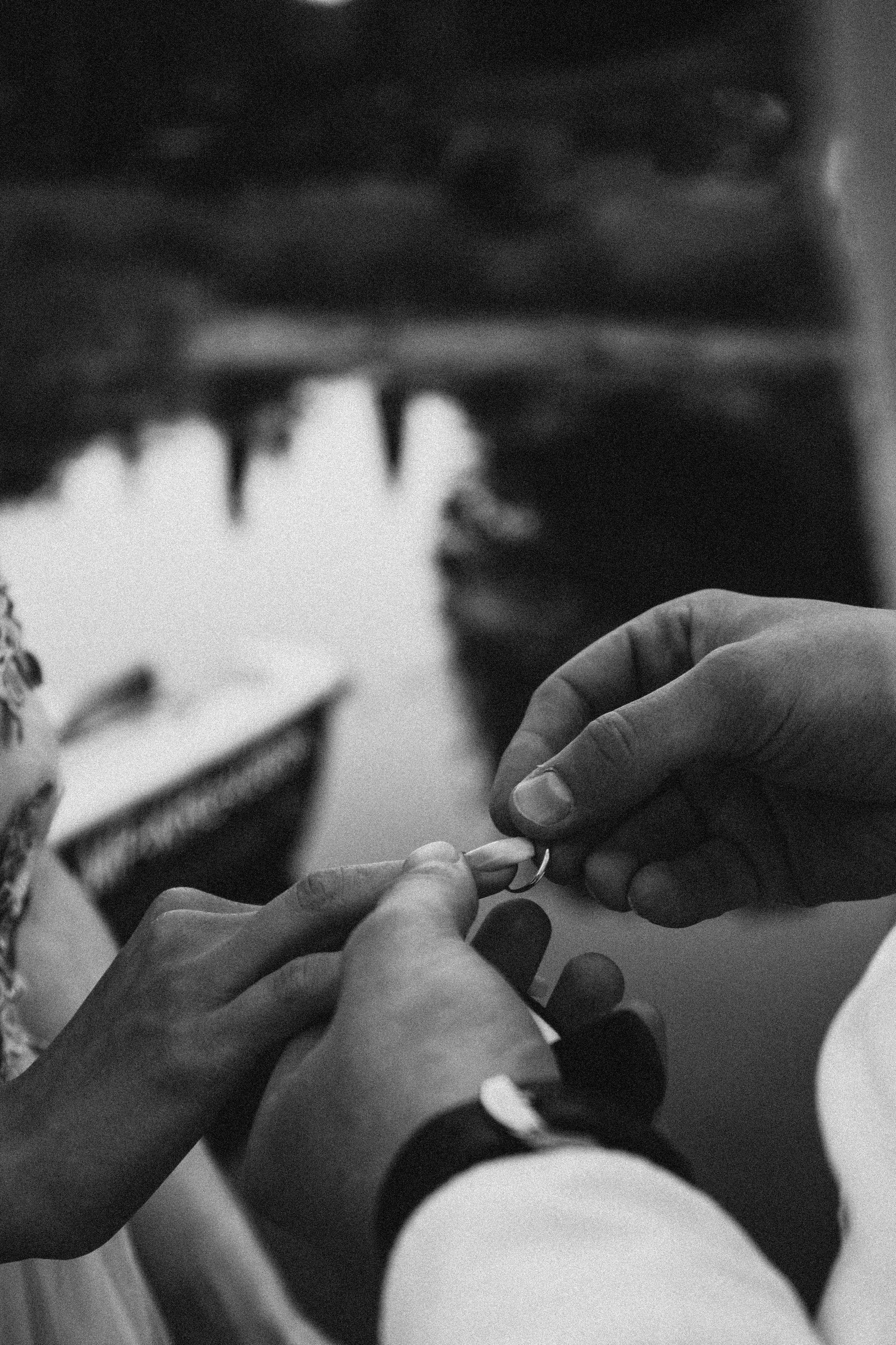 Tatiana Alexander. Fotograf Mykhalchuk Inna Kraków