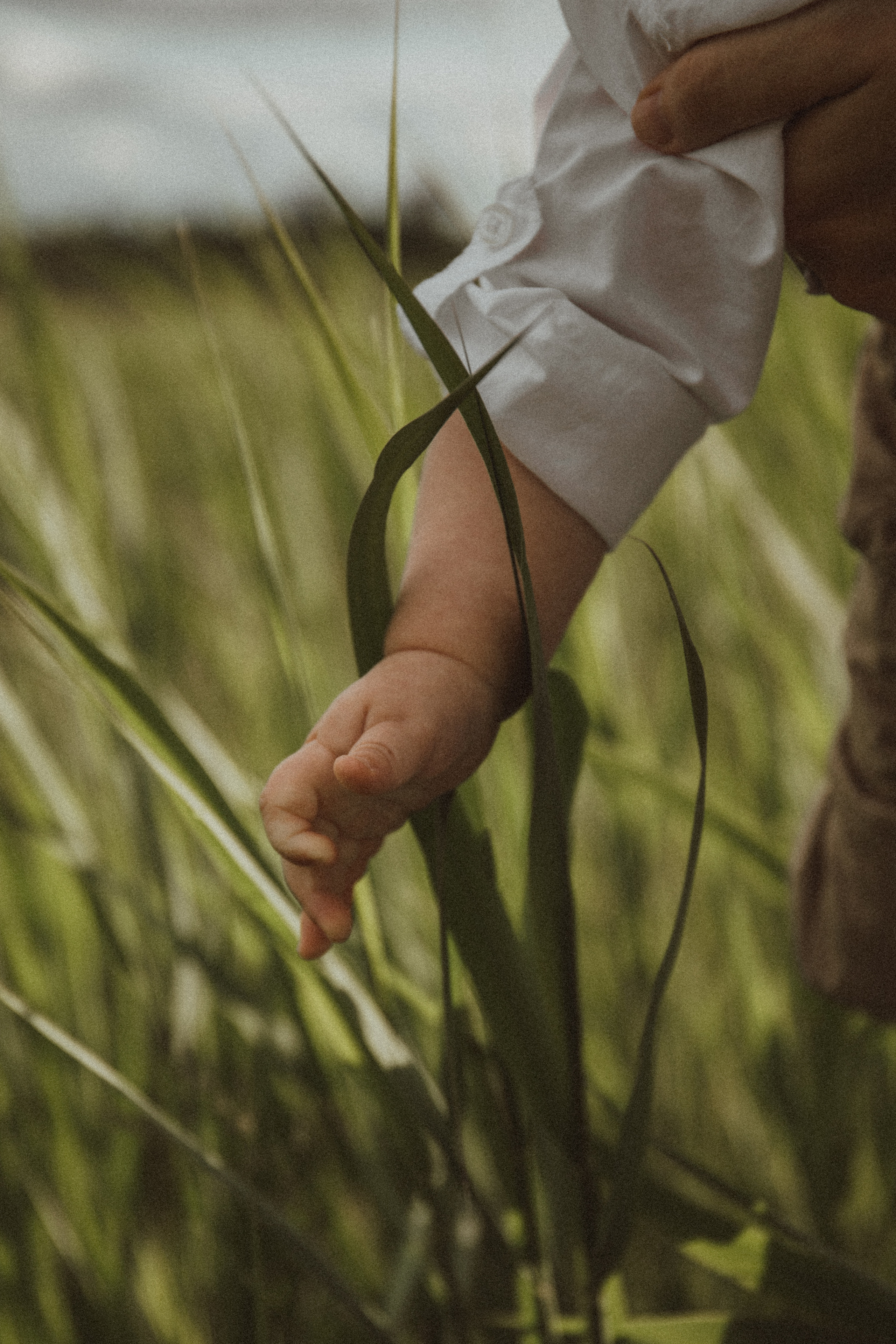 Anna Maks. Fotograf Mykhalchuk Inna Kraków