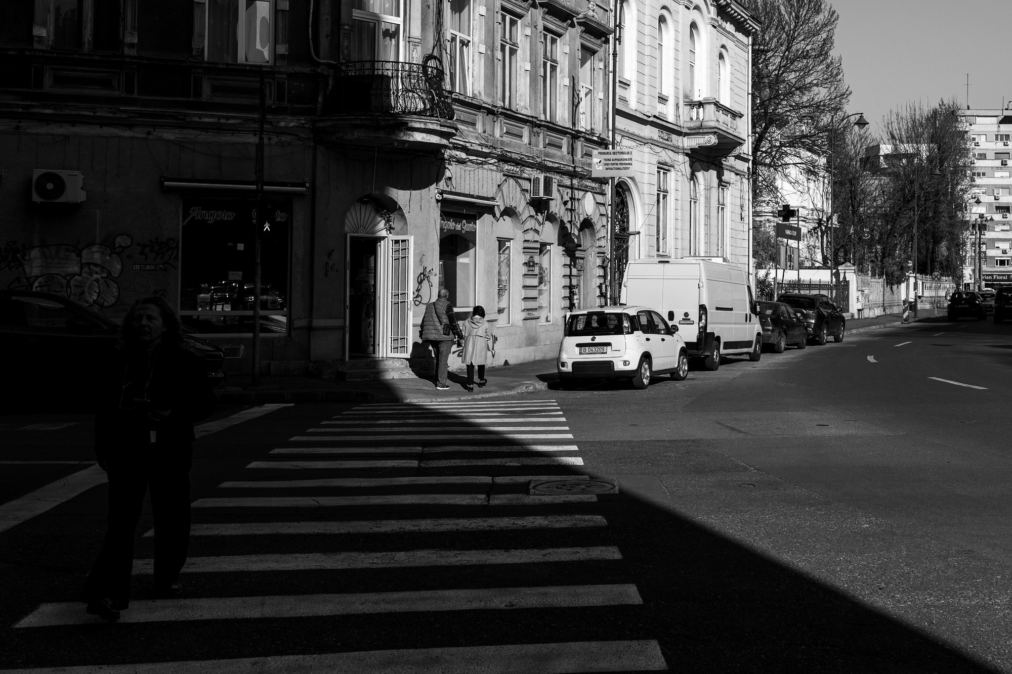 Monochrome. A Creative Insight | Catalin Nastase