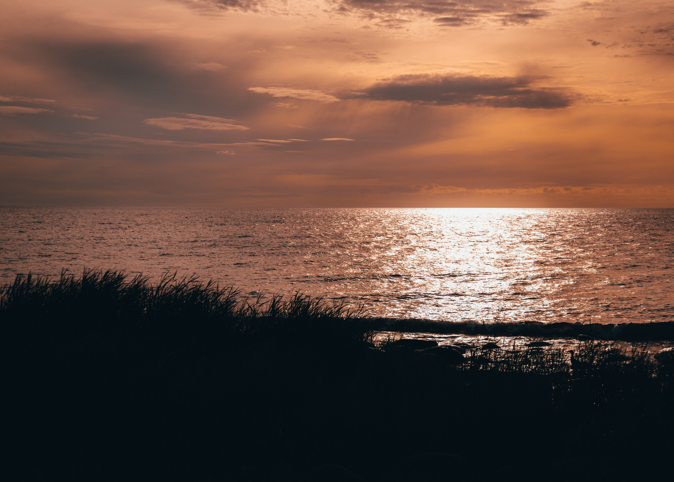 Dažādas fotogrāfijas. Sajūtu un mirkļu fotogrāfs no Rīgas, Mārtiņš Babris