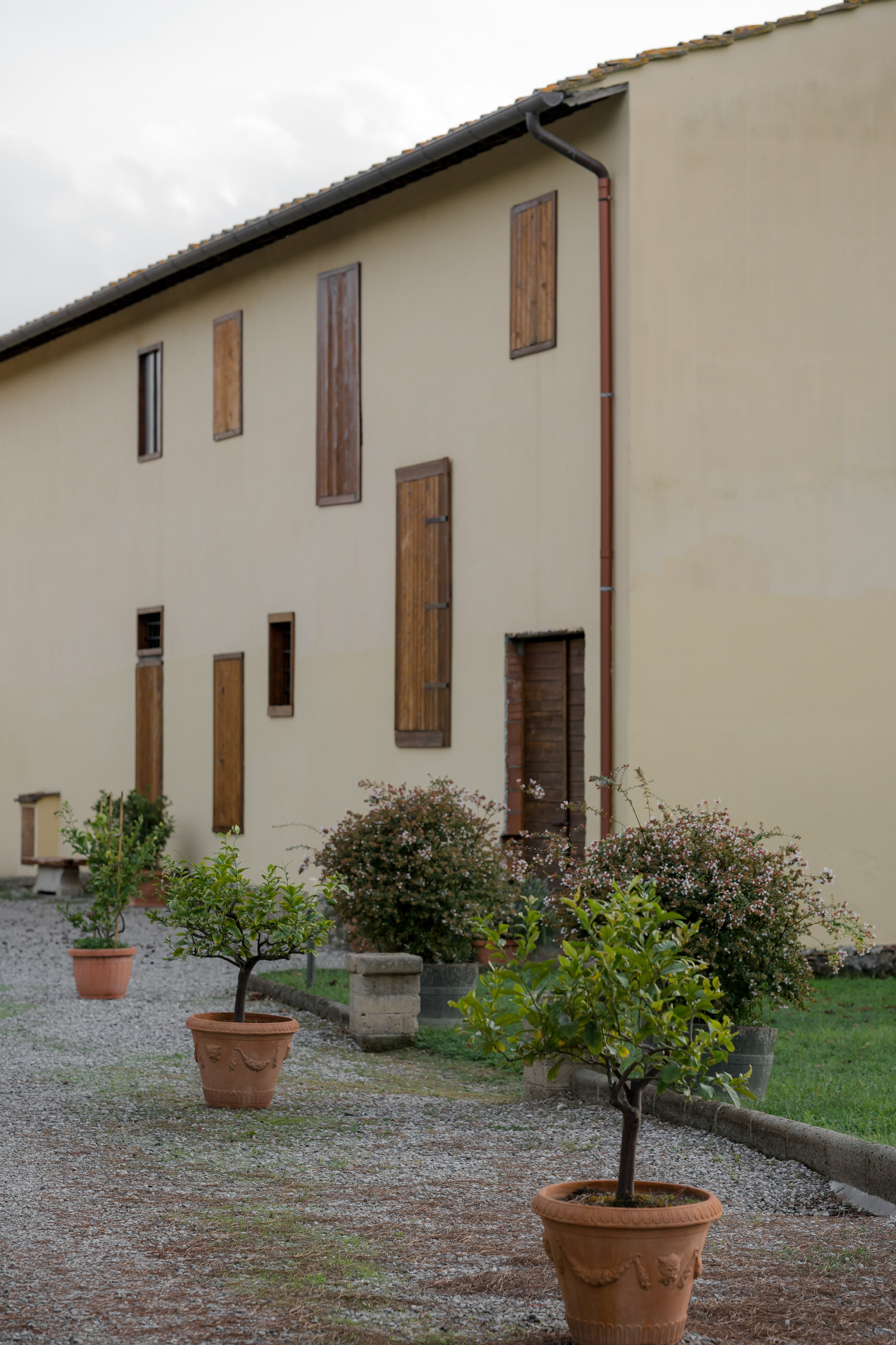 Dom&Ally. Весільний фотограф Вікторія Саврук