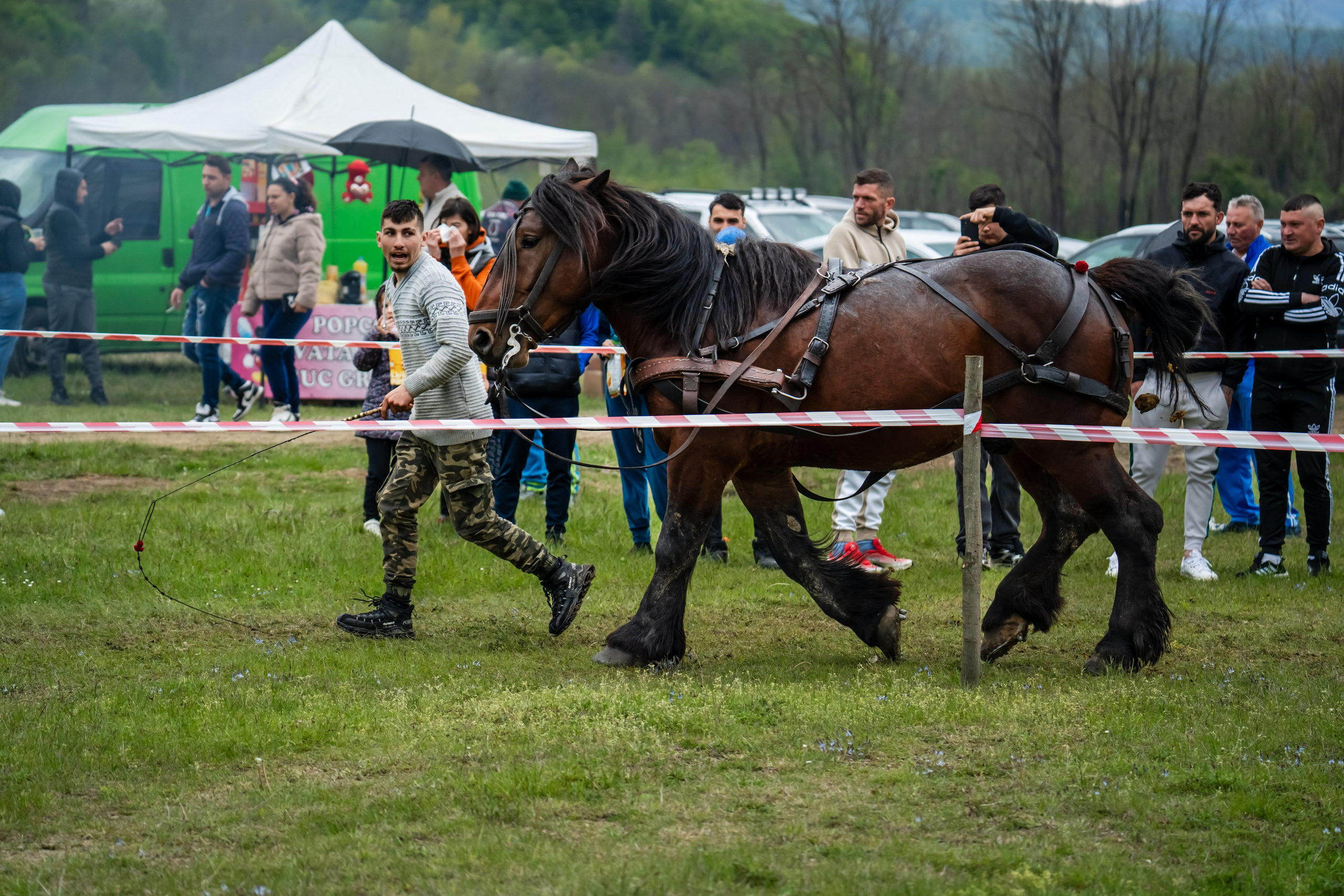 Concurs Ecvestru Vărbilău ediția a 4-a. Mihai Alexandra Events