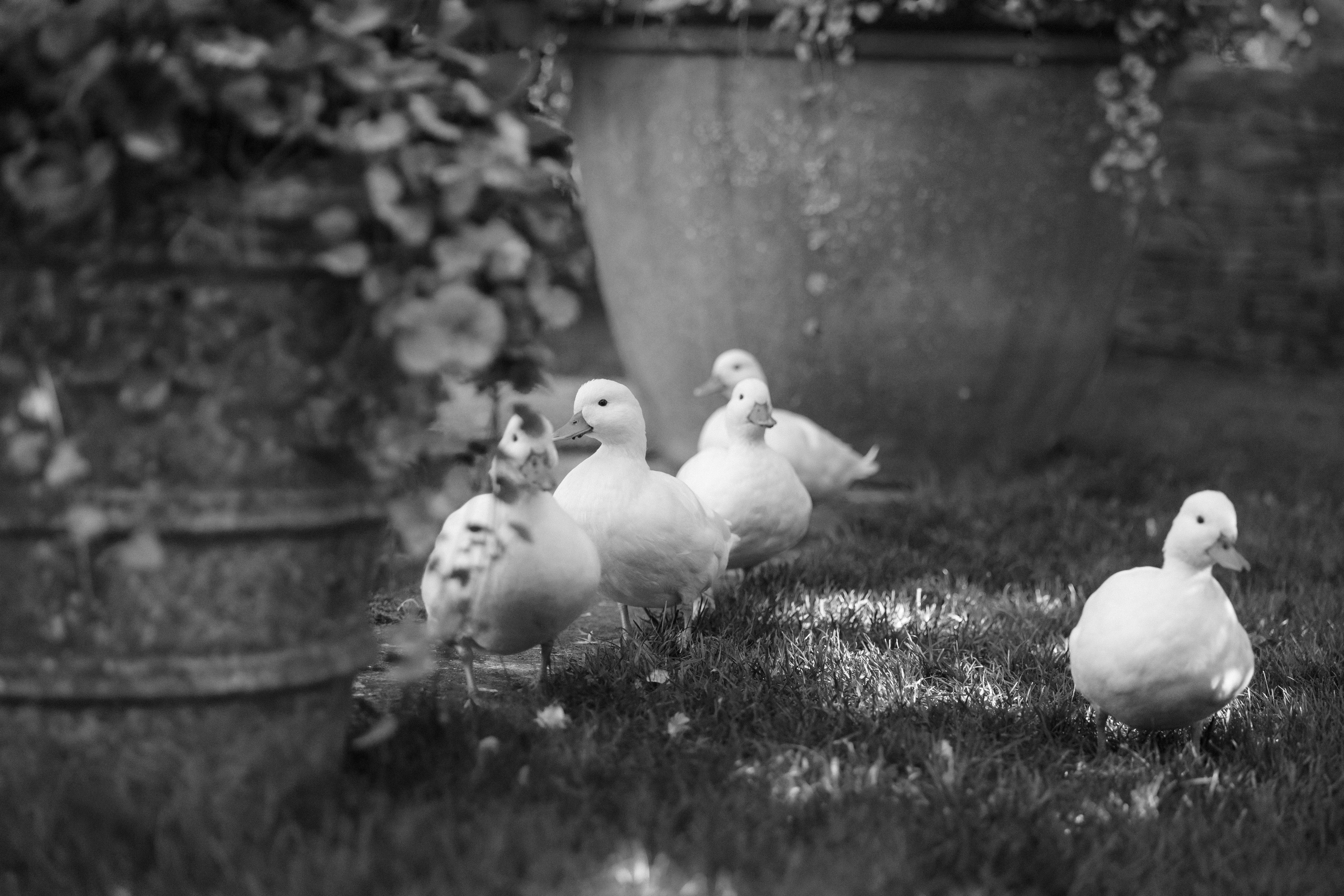 Euridge Manor, UK. 2025. Timeless Wedding & Events Photography. Based in London, working across Europe